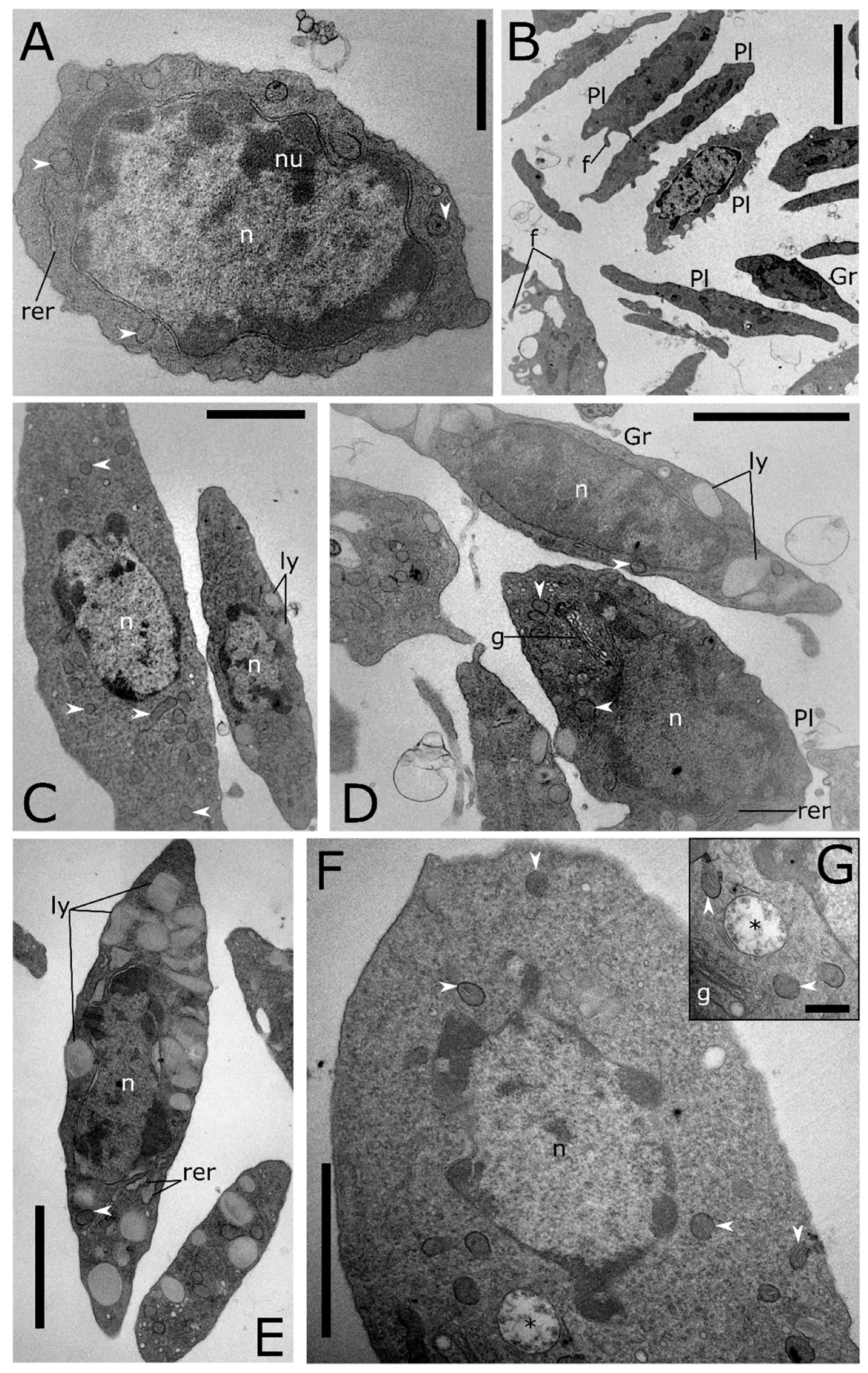 Insects 12 00423 g002 Insects 12 00423 g002
