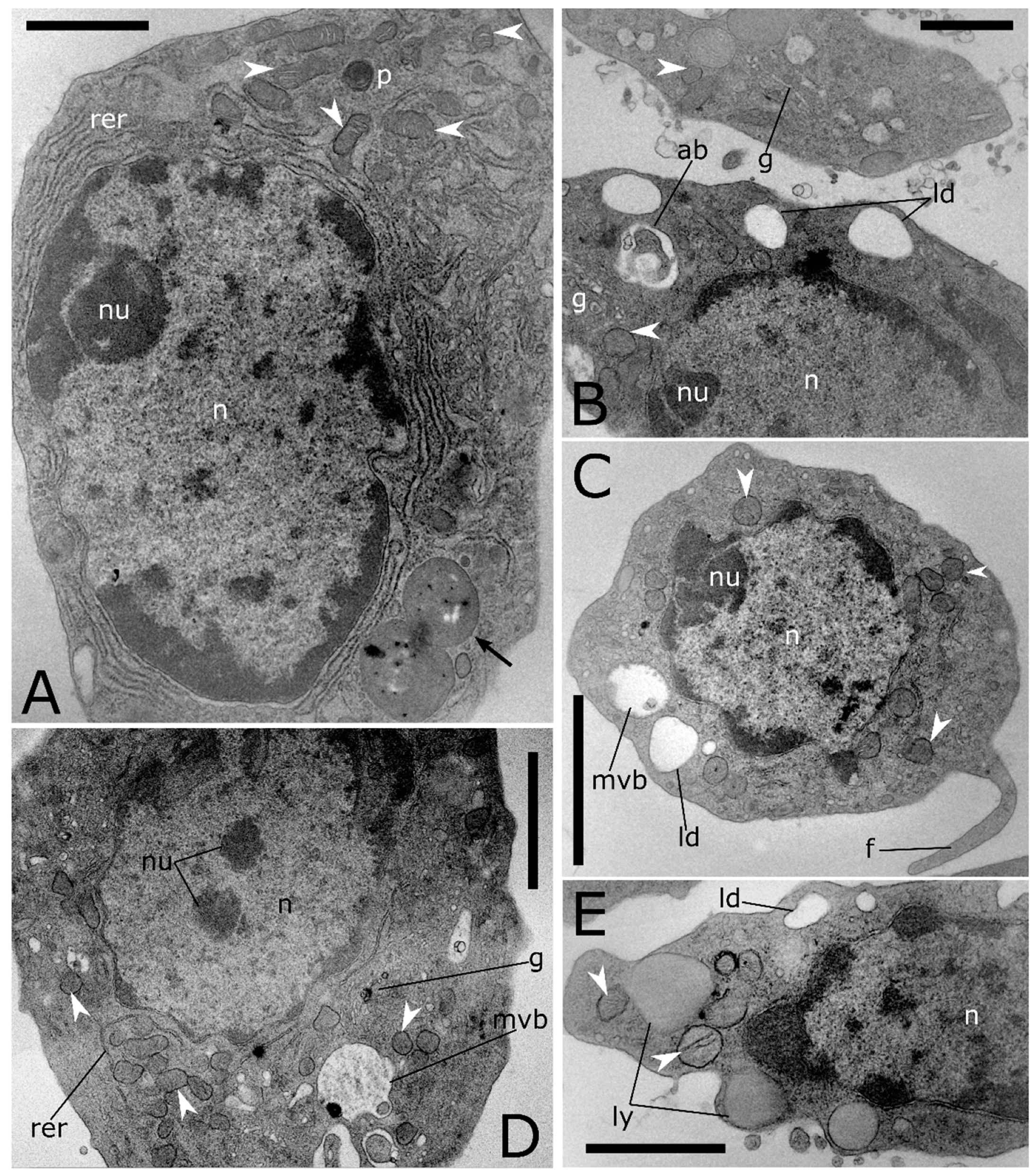 Insects 12 00423 g003 Insects 12 00423 g003