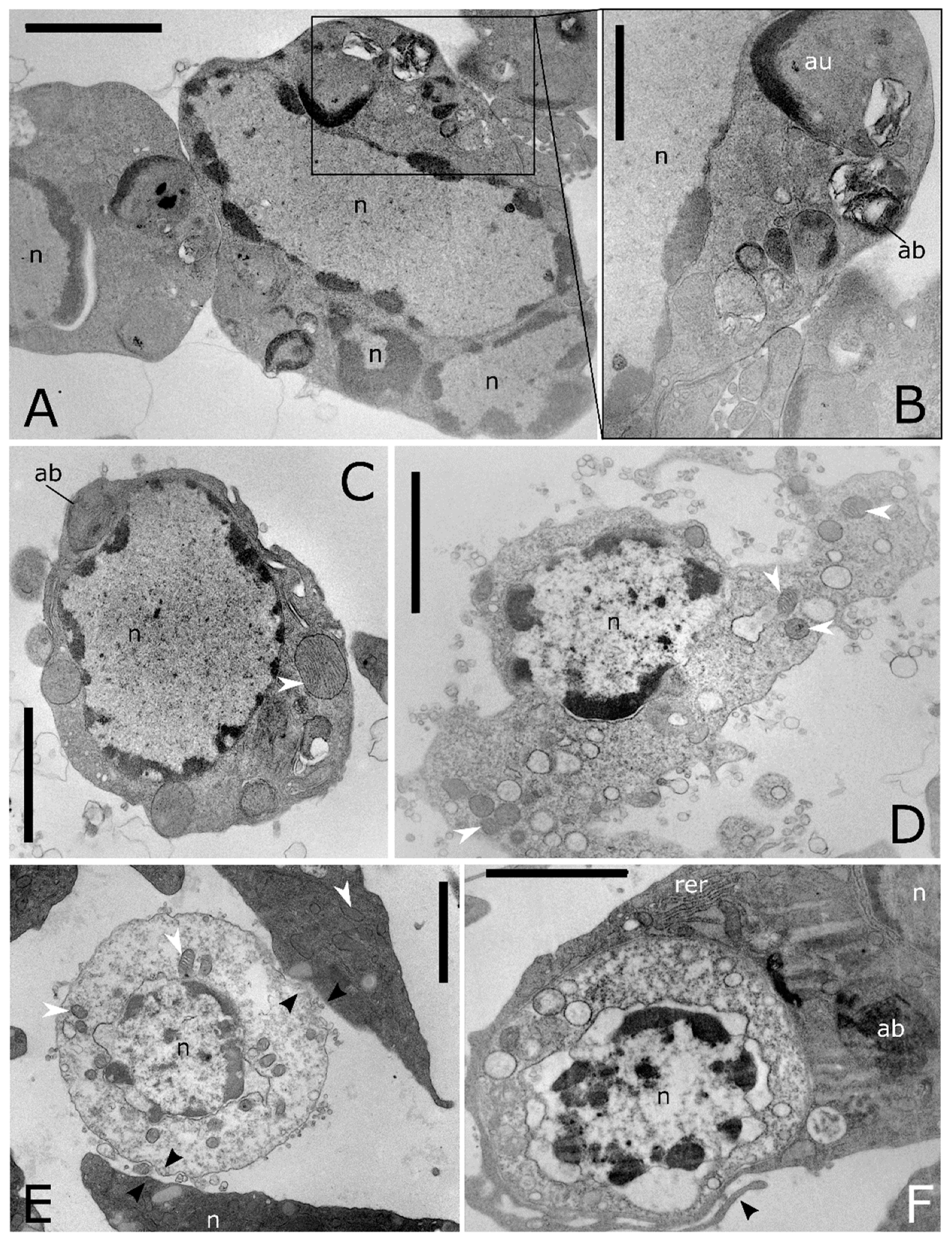 Insects 12 00423 g007 Insects 12 00423 g007