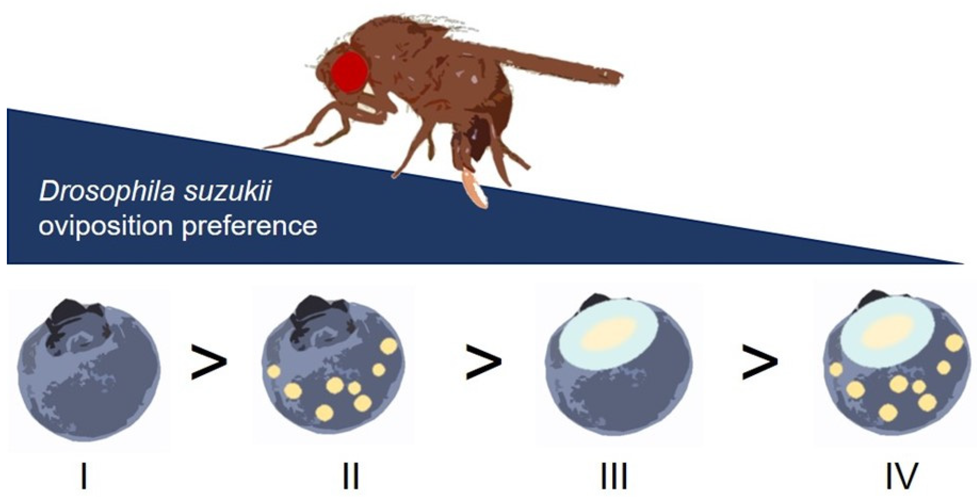 Insects 12 00424 g003 Insects 12 00424 g003