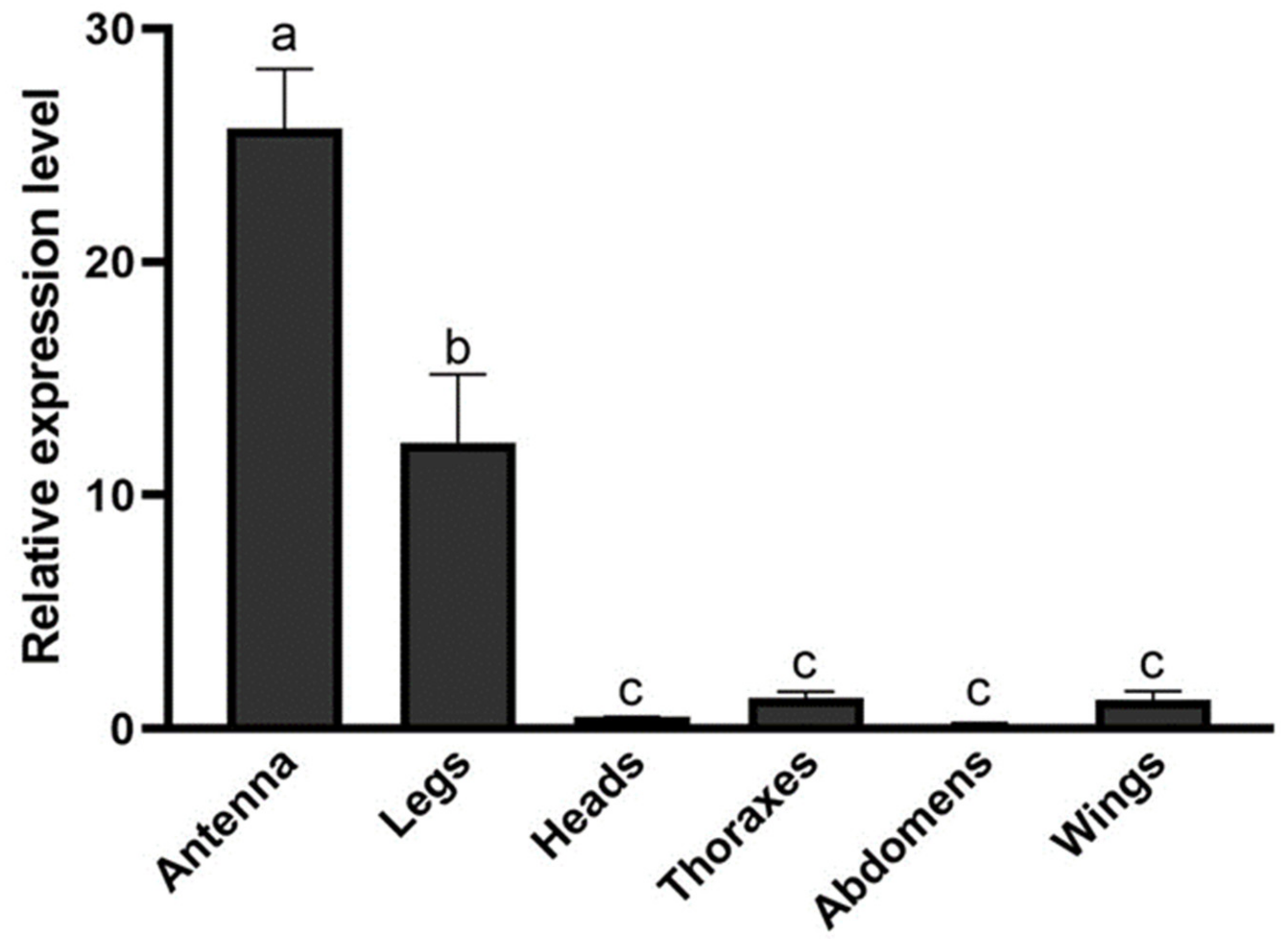 Insects 12 00430 g003