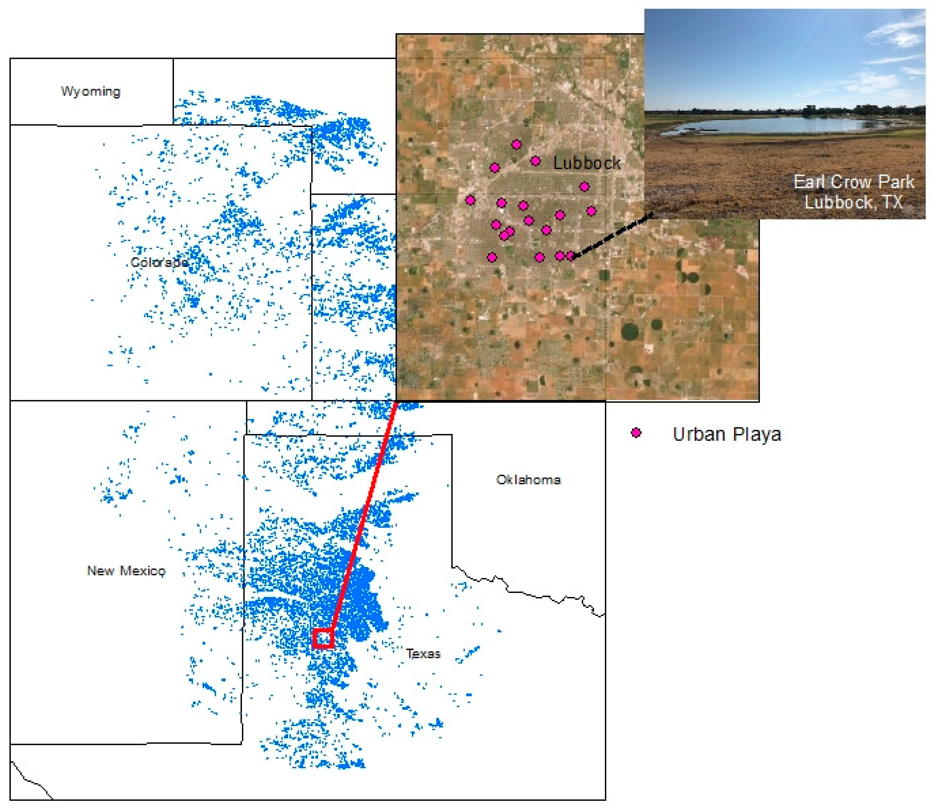 Insects 12 00431 g001