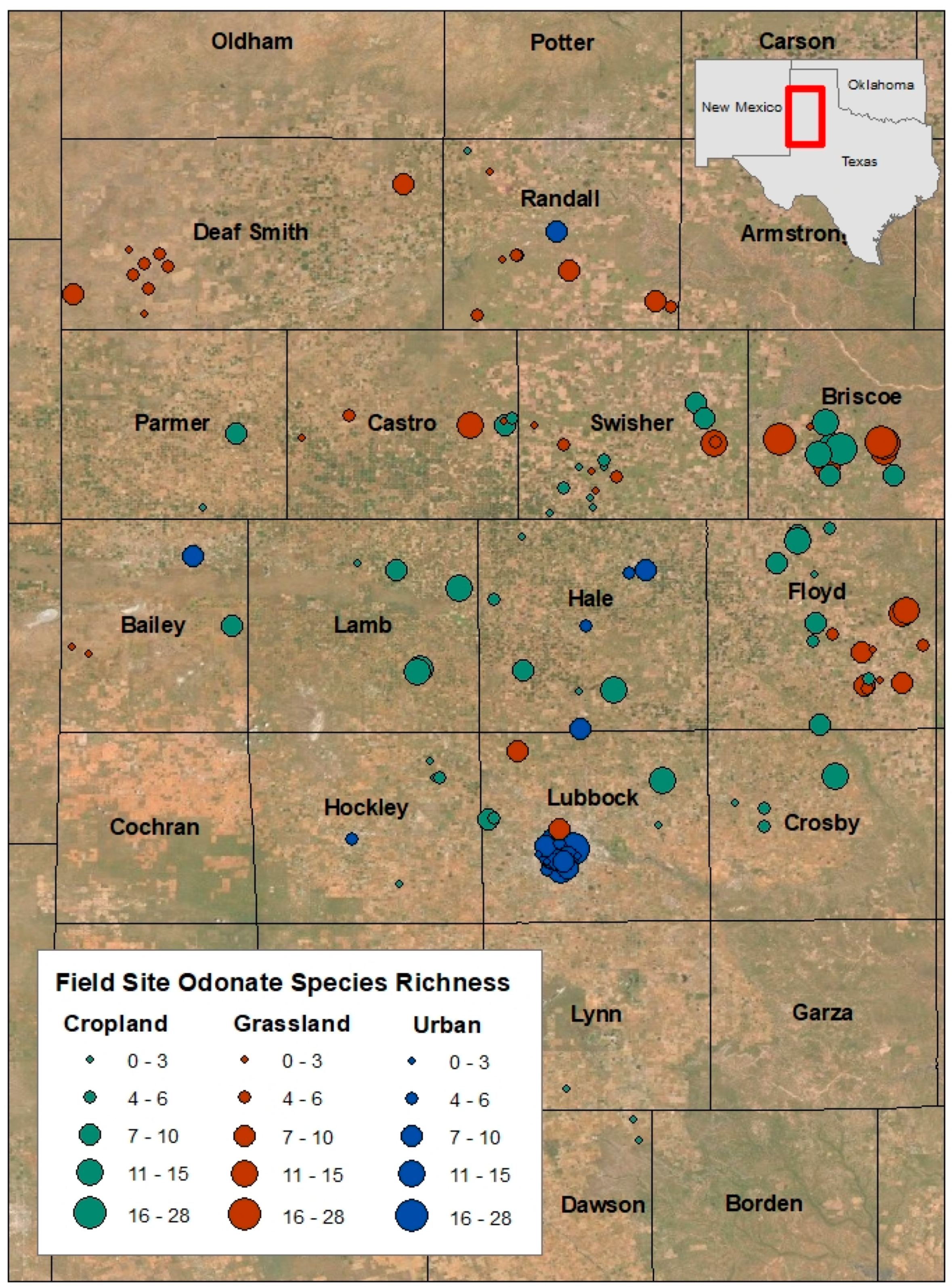 Insects 12 00431 g003