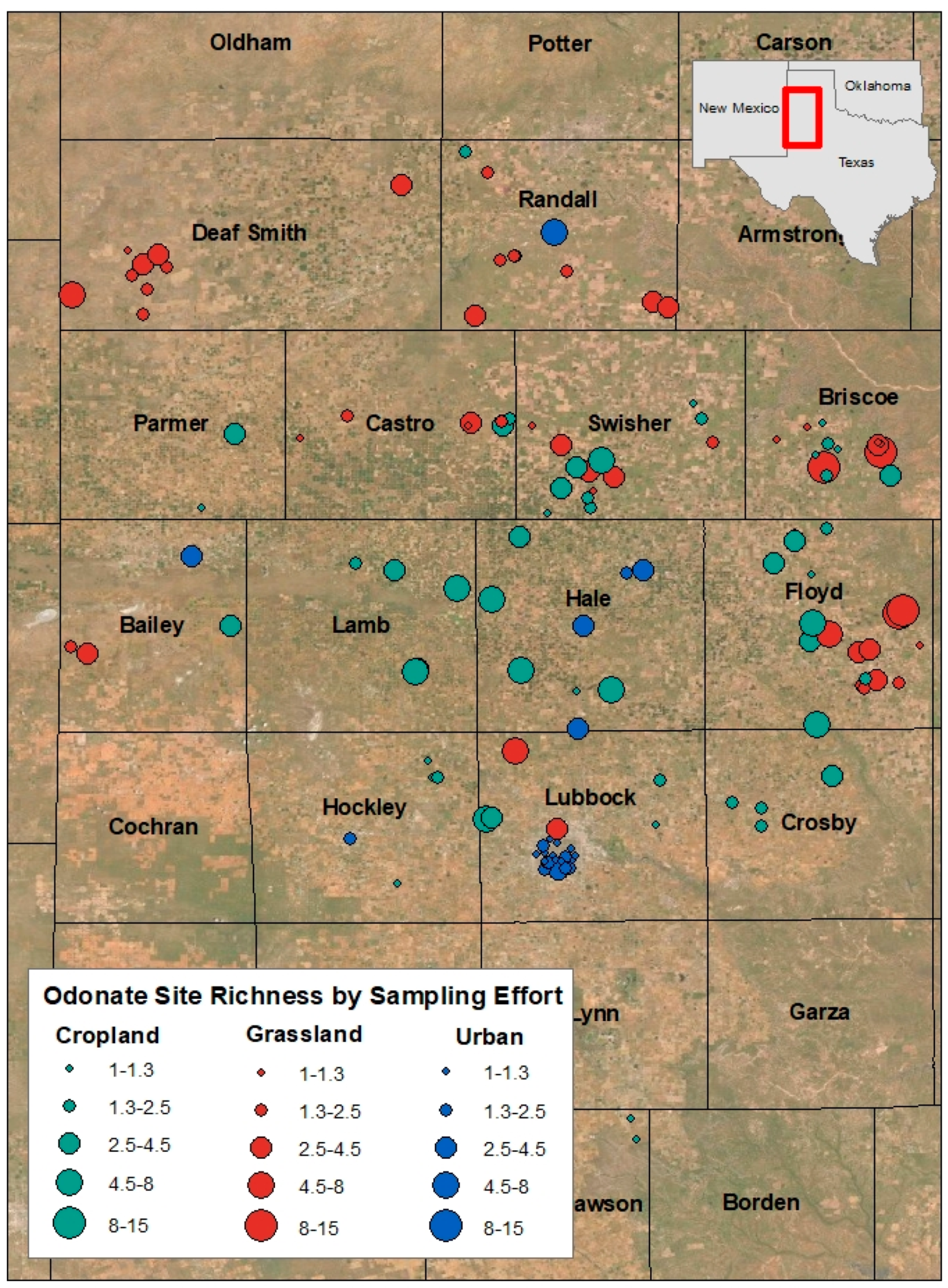 Insects 12 00431 g004