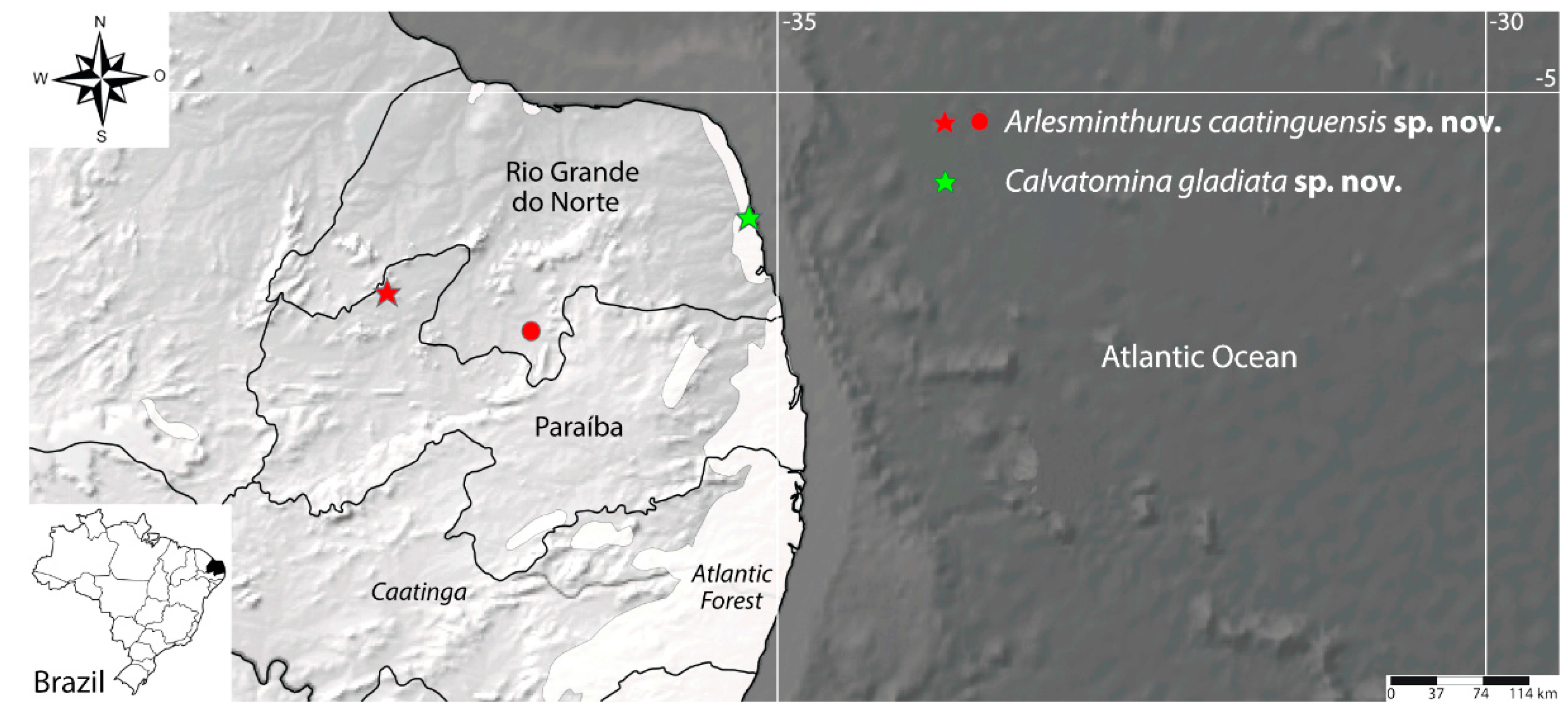 Insects 12 00433 g001 Insects 12 00433 g001