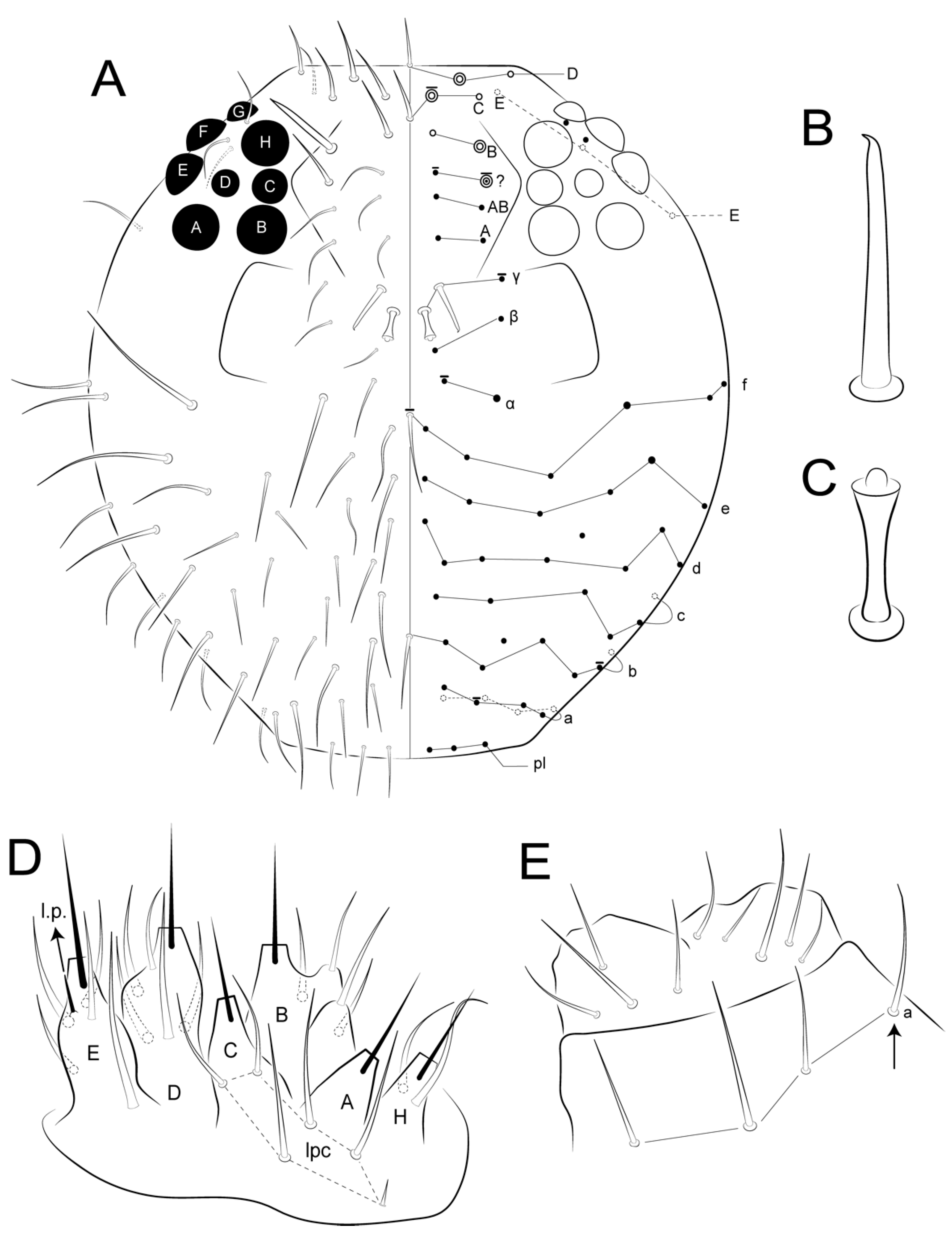 Insects 12 00433 g008 Insects 12 00433 g008