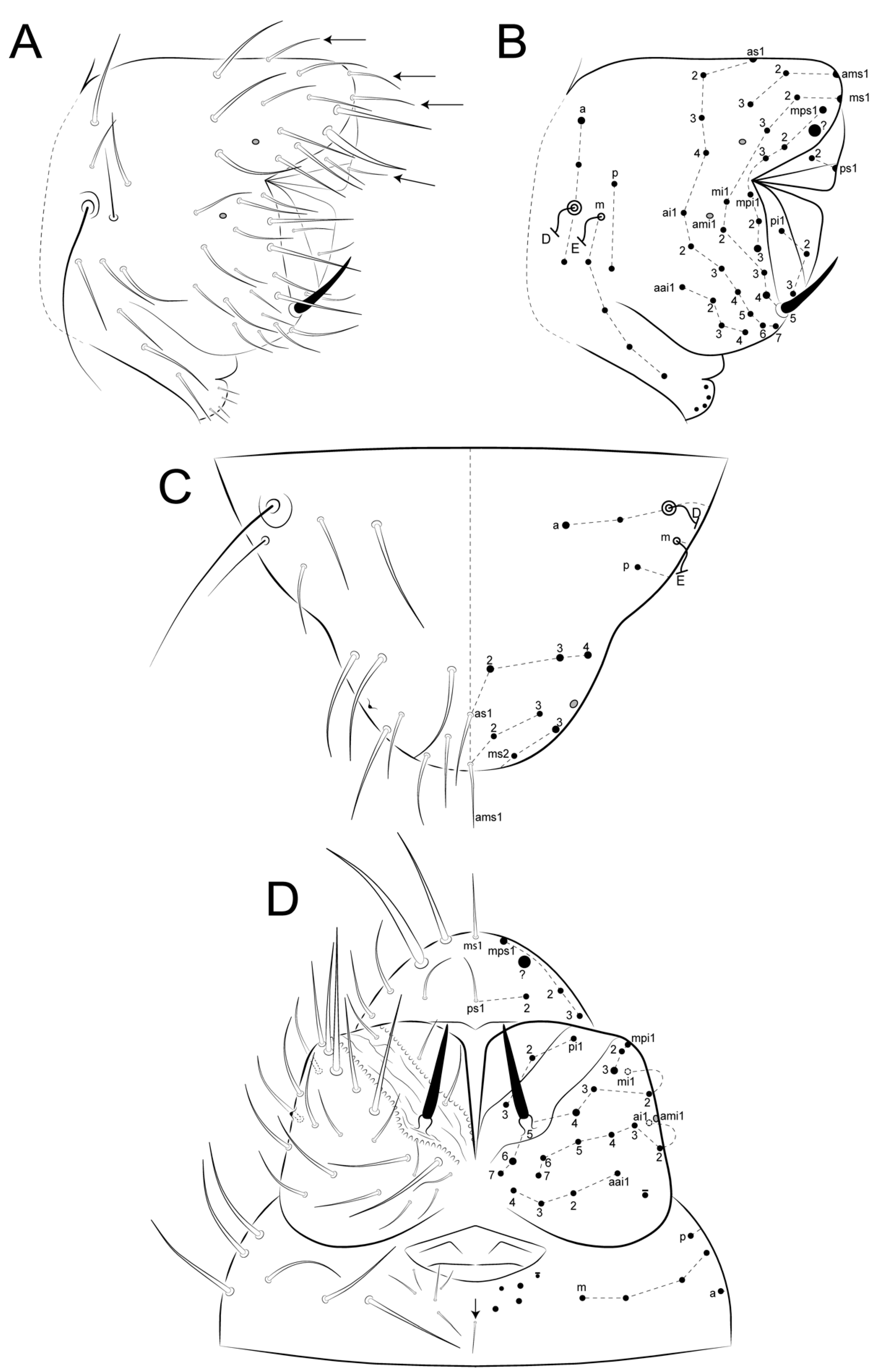 Insects 12 00433 g013 Insects 12 00433 g013