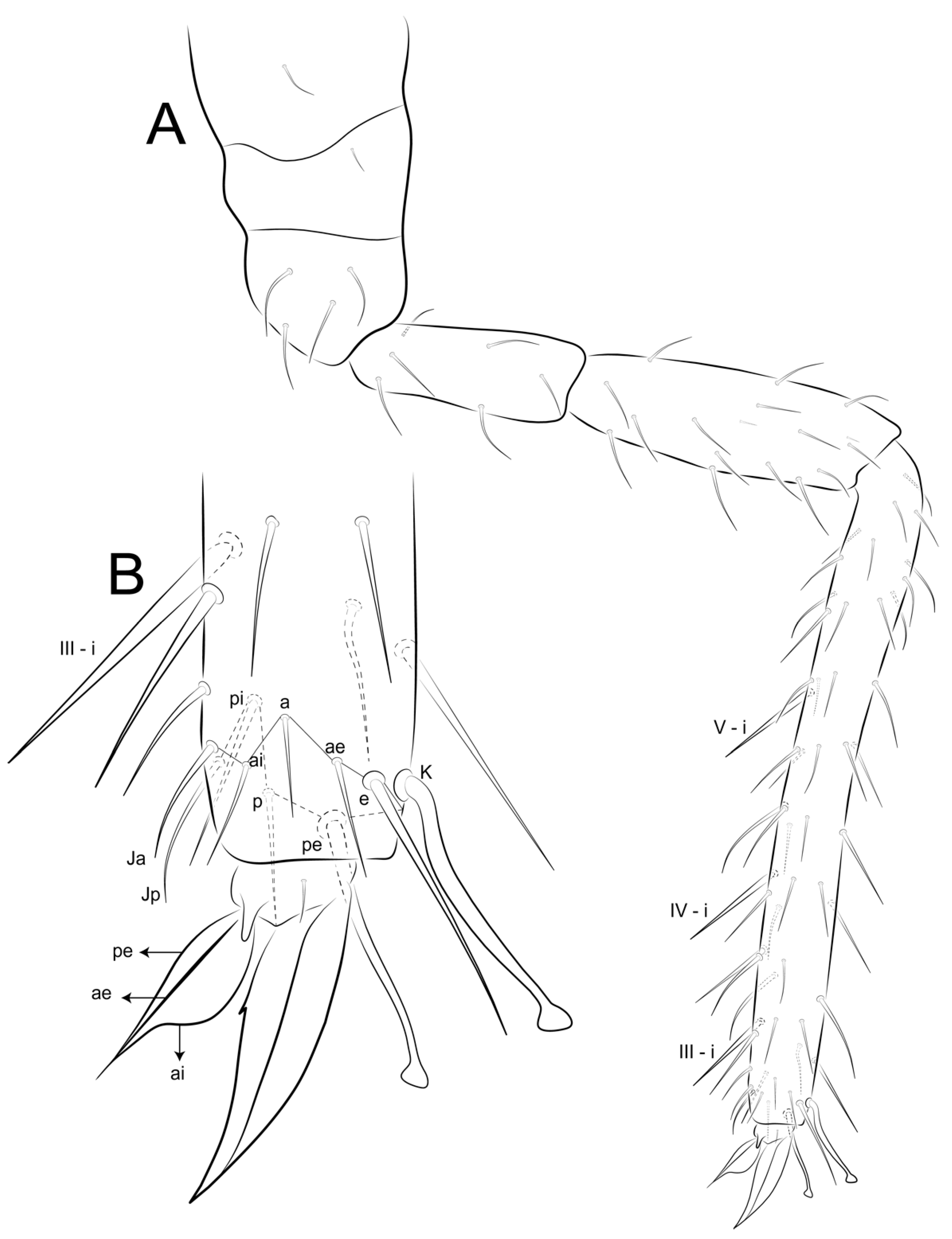 Insects 12 00433 g016 Insects 12 00433 g016