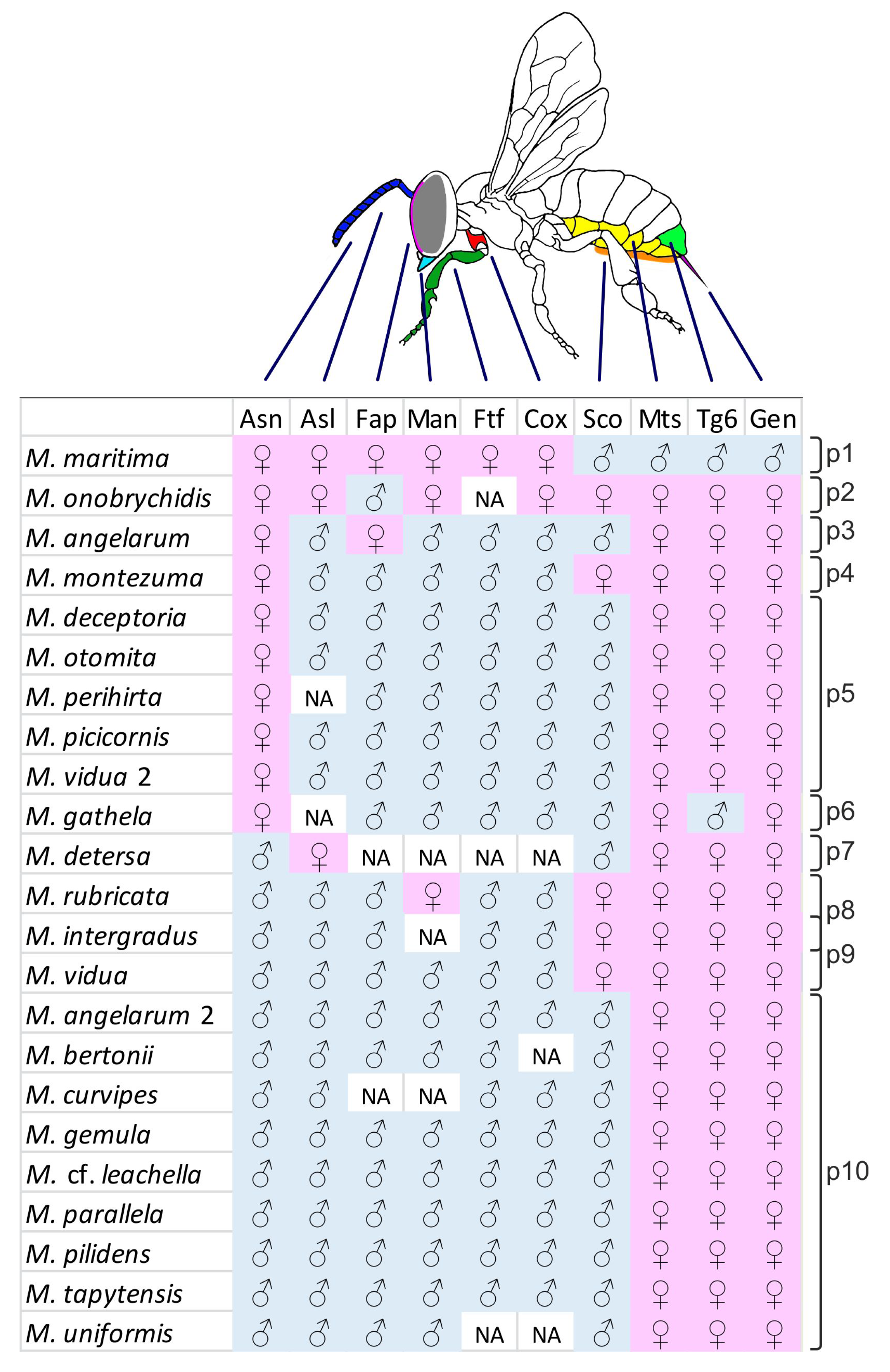 Insects 12 00437 g001 Insects 12 00437 g001