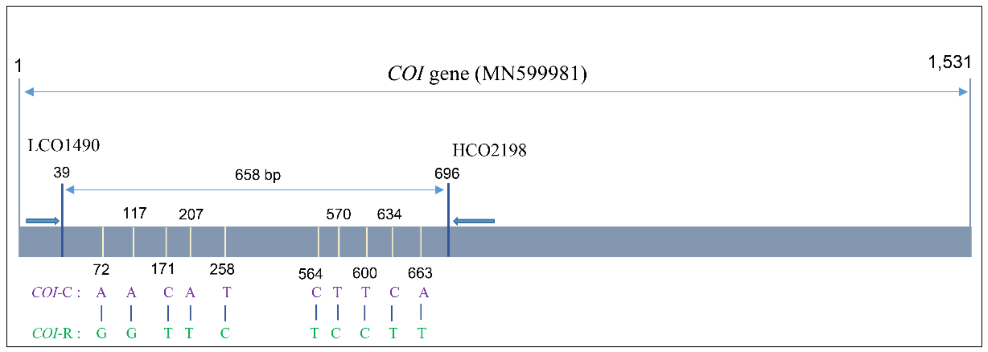 Insects 12 00439 g004