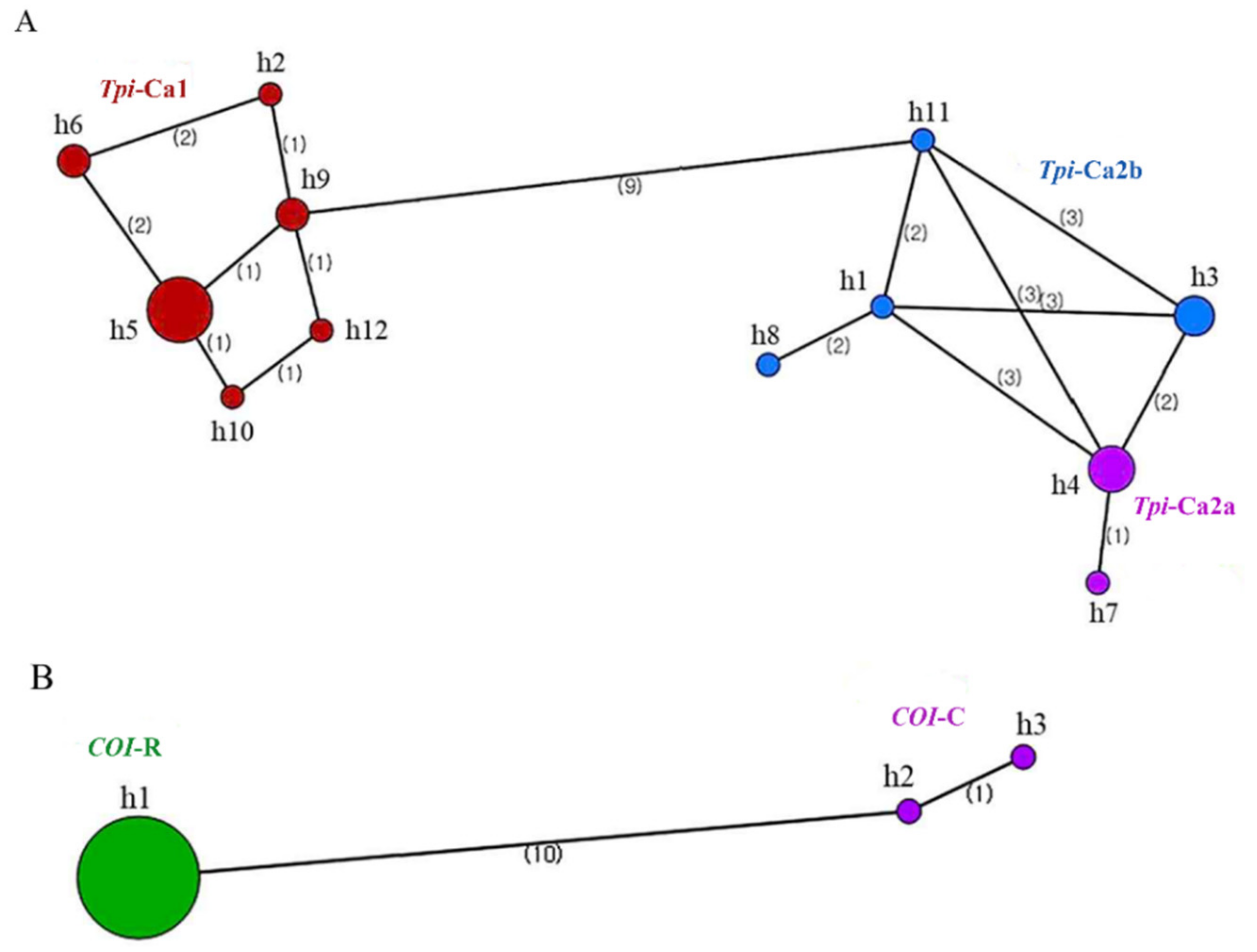 Insects 12 00439 g005