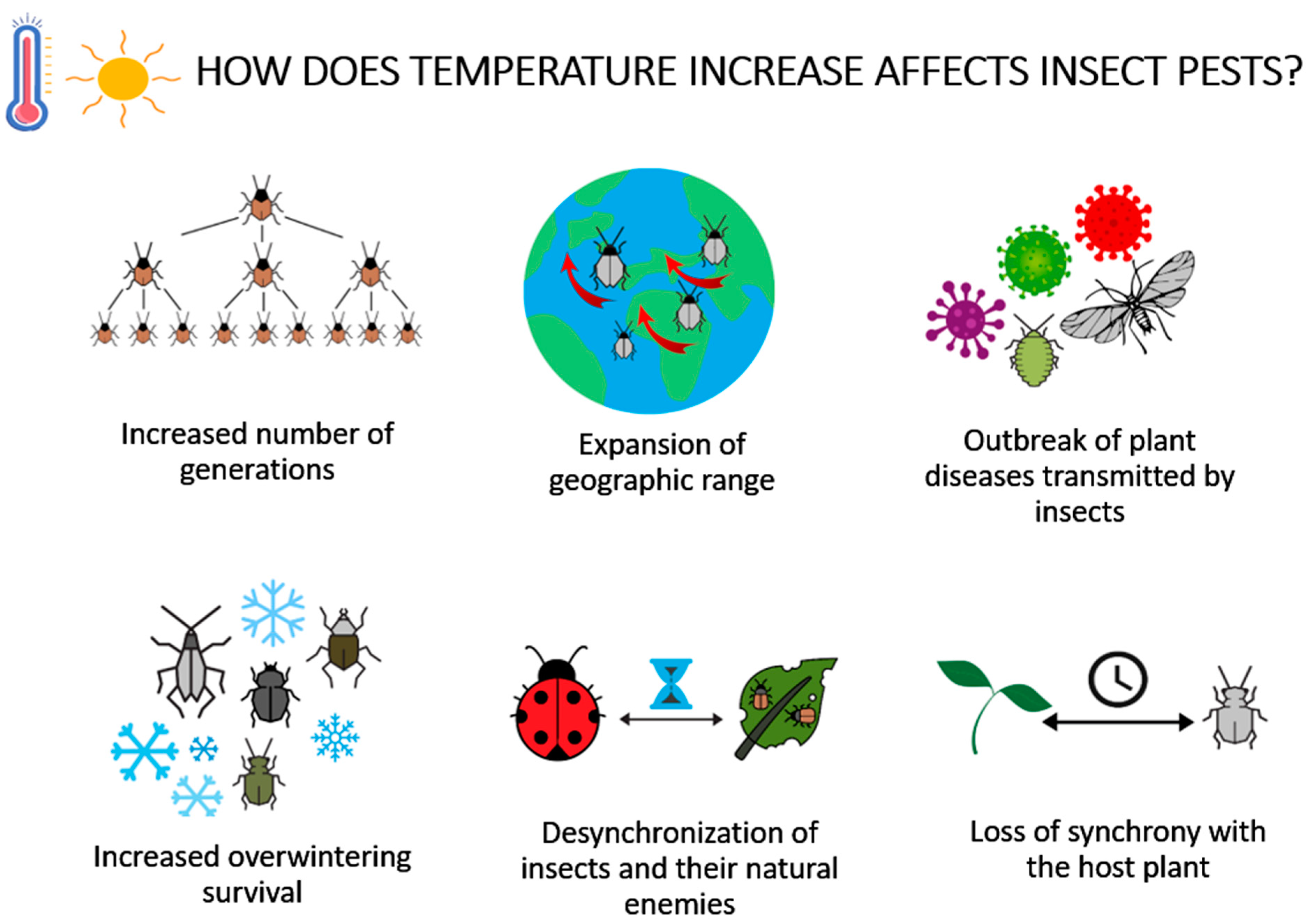 Bed Bug Heat Treatment