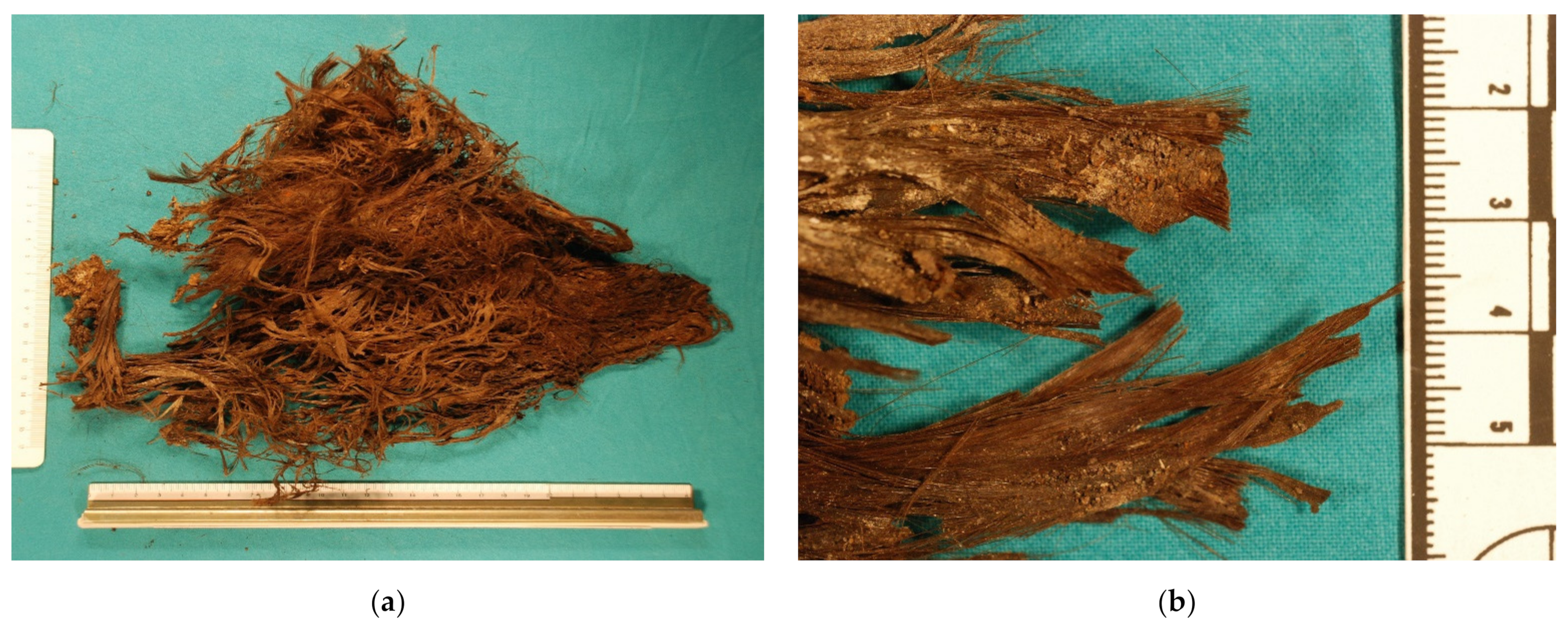 Insects 12 00444 g002 Insects 12 00444 g002