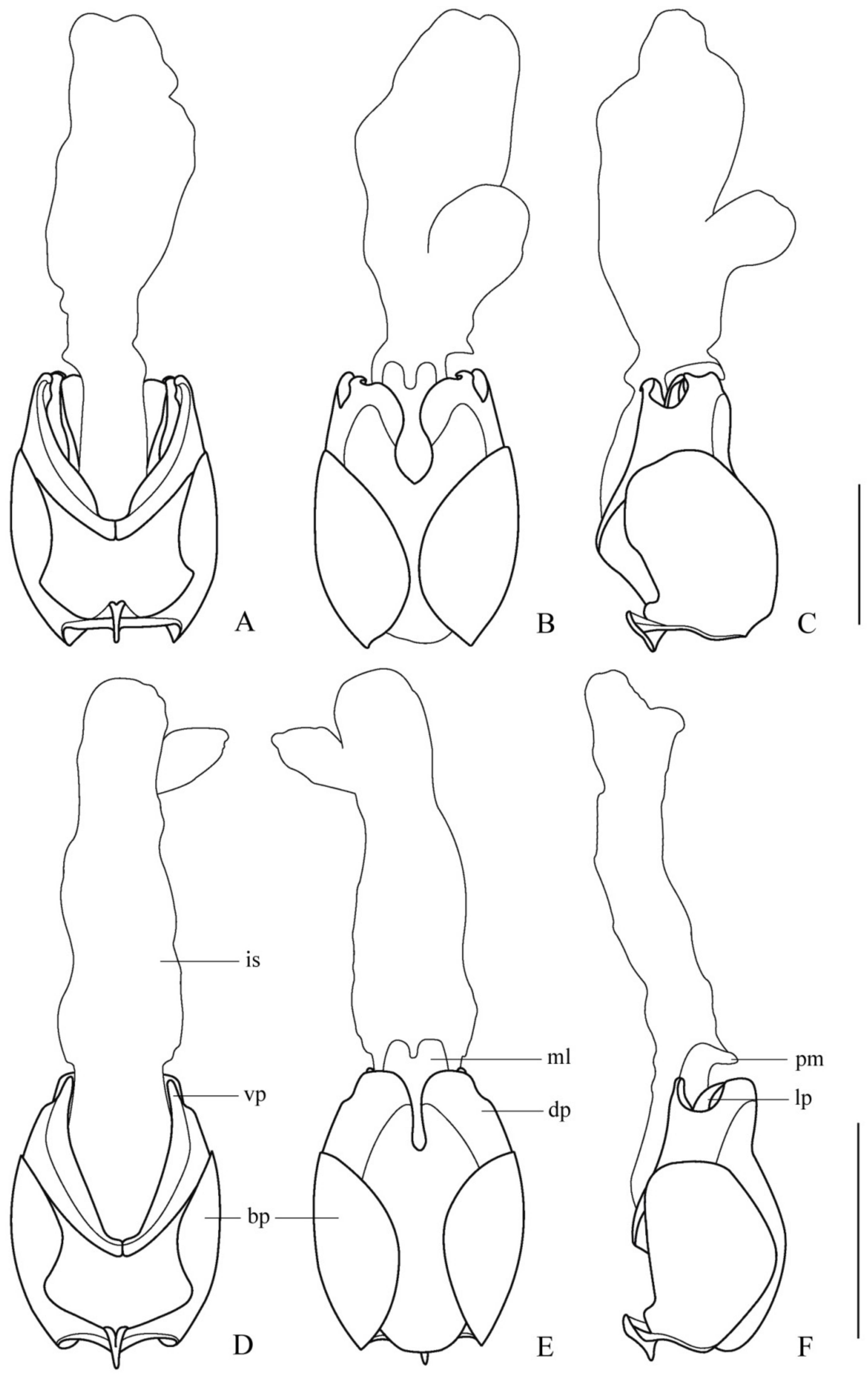 Insects 12 00445 g002