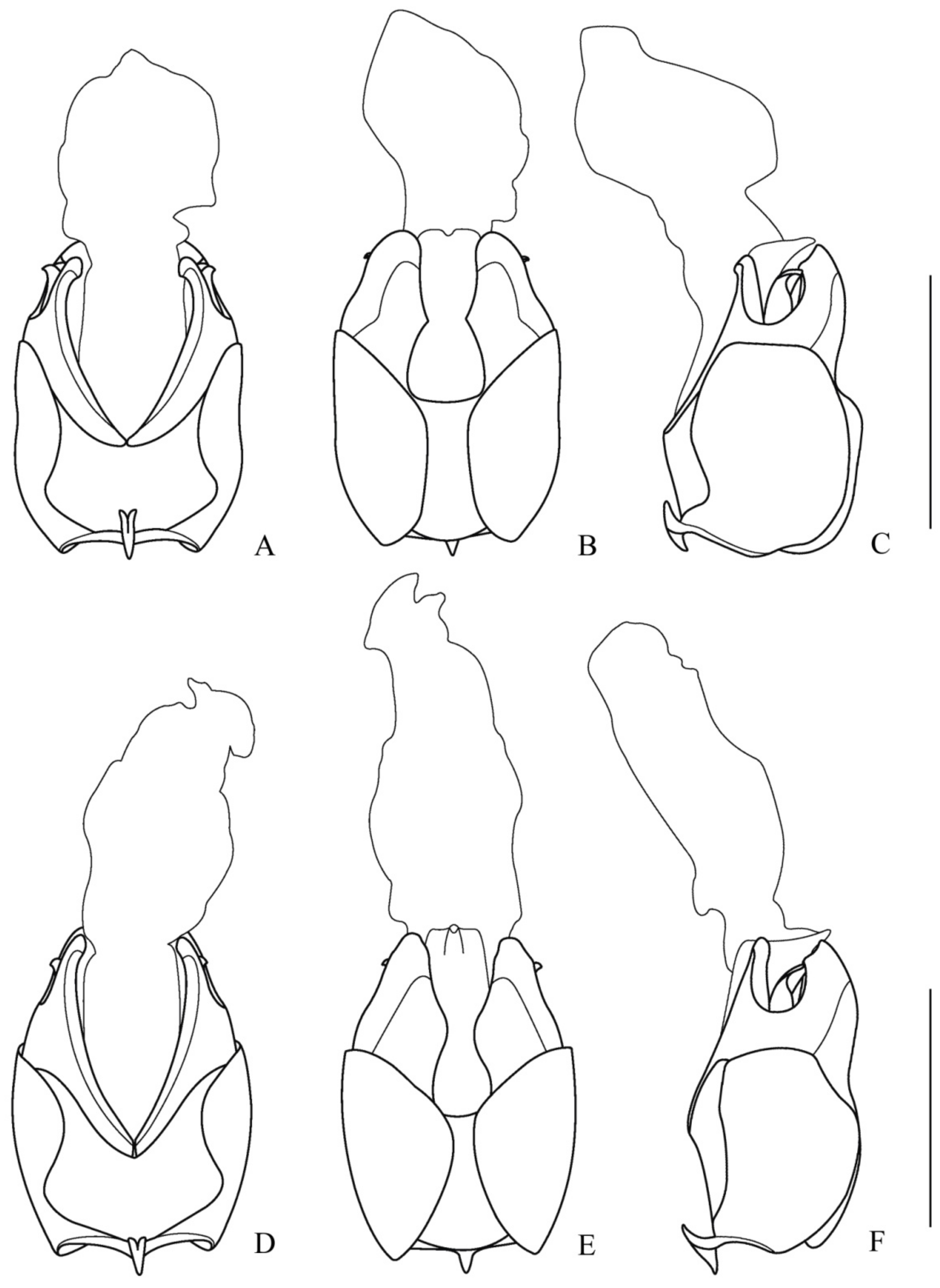 Insects 12 00445 g005