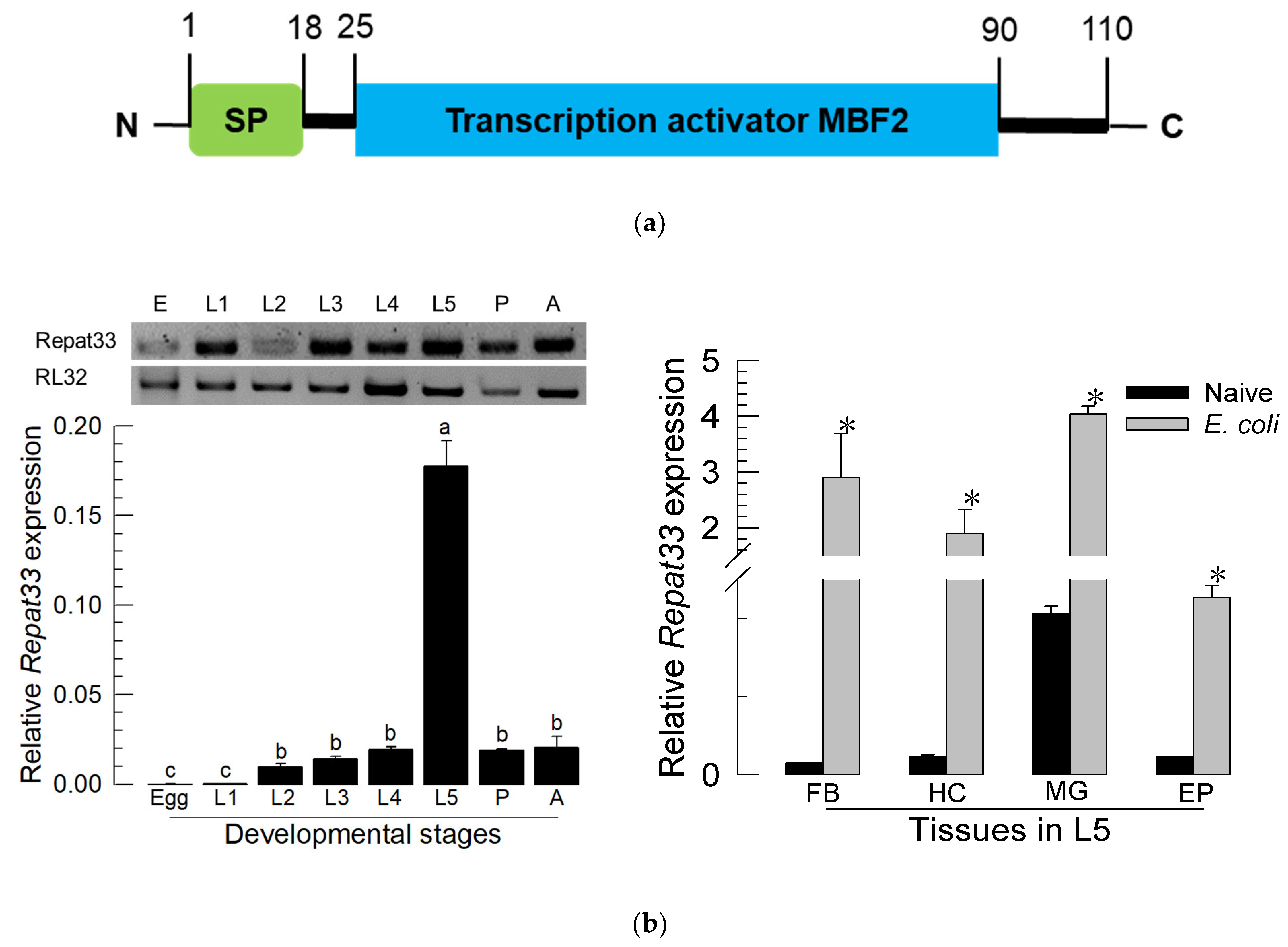 Insects 12 00449 g002 Insects 12 00449 g002