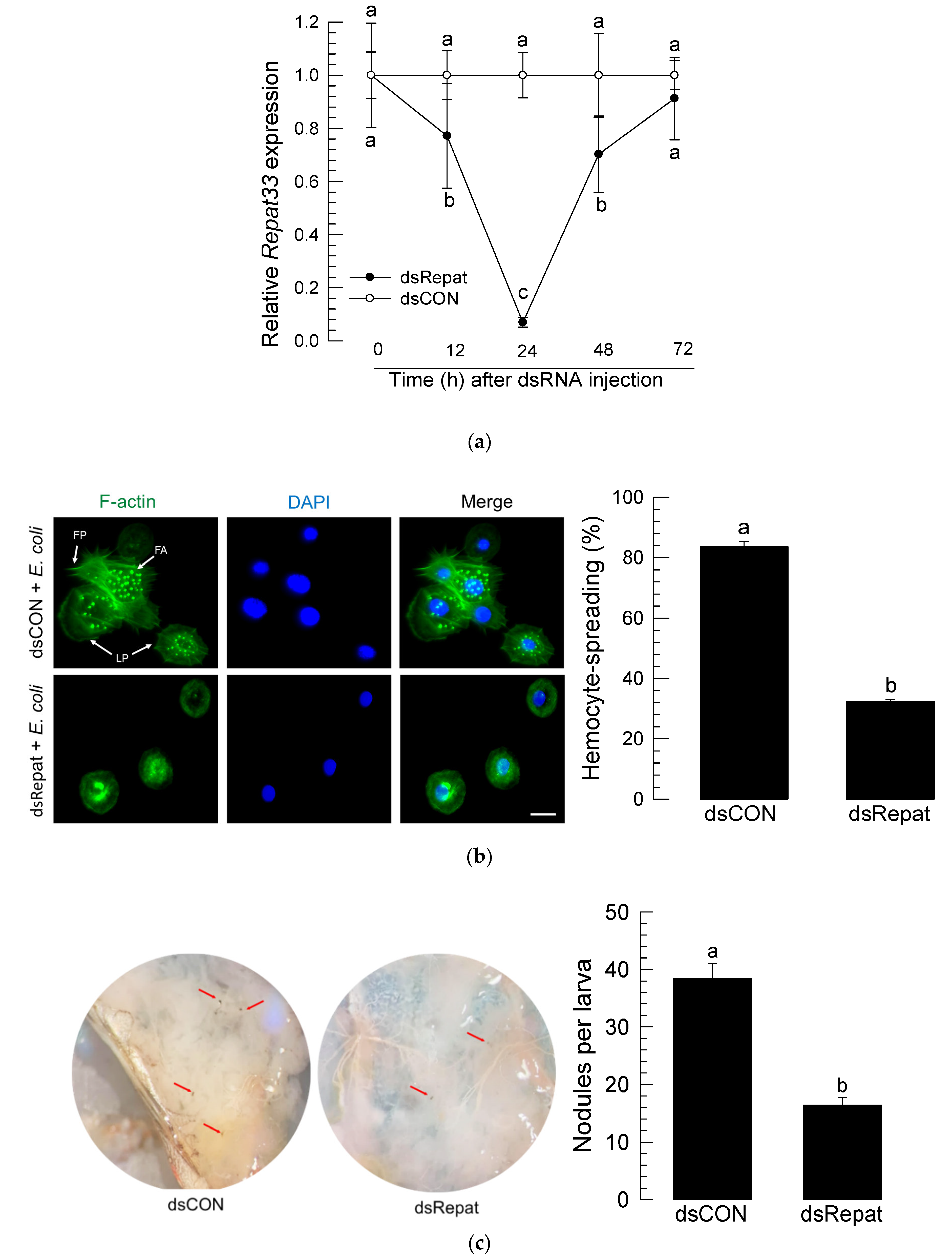 Insects 12 00449 g003 Insects 12 00449 g003