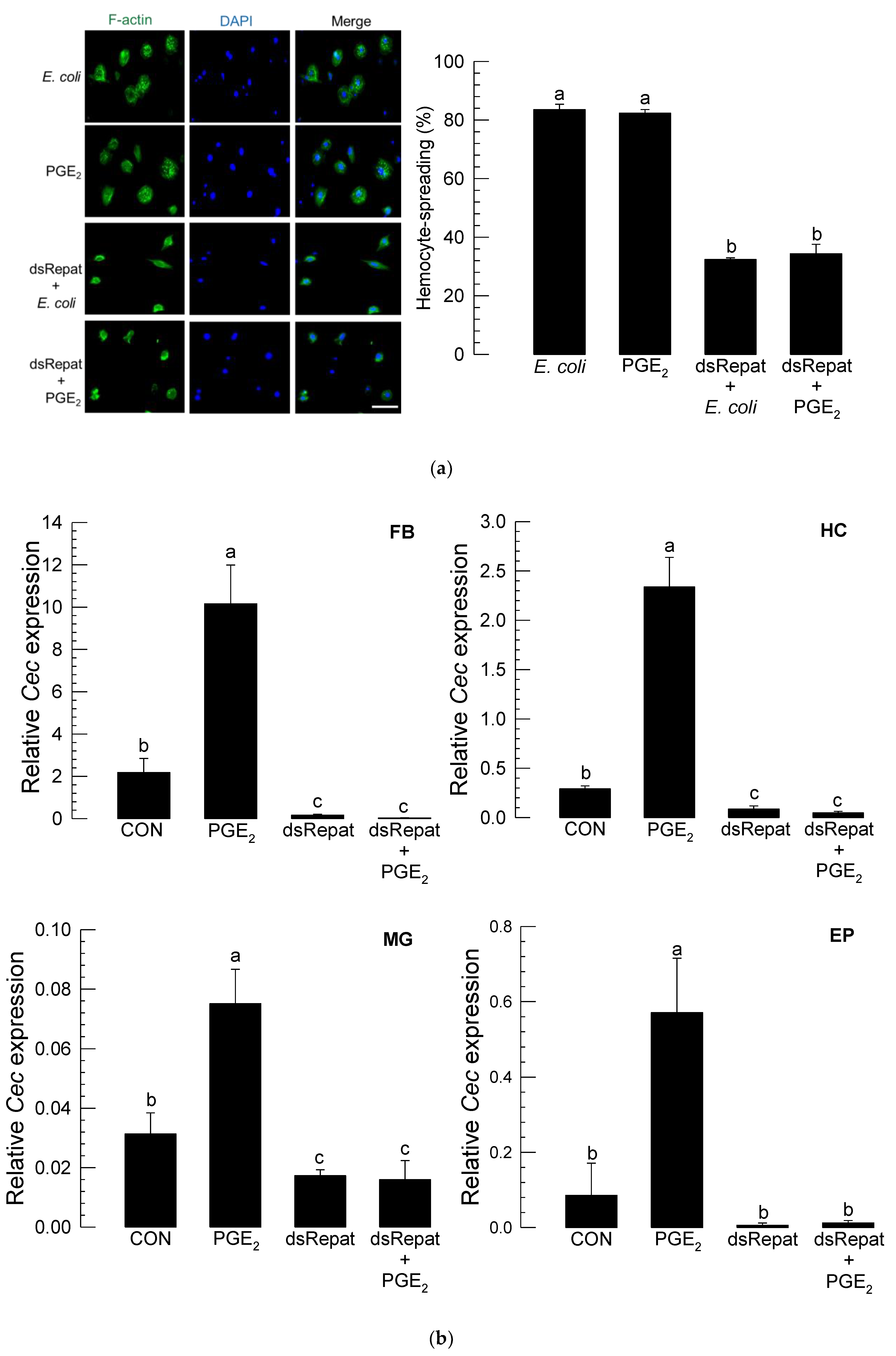 Insects 12 00449 g006a Insects 12 00449 g006a
