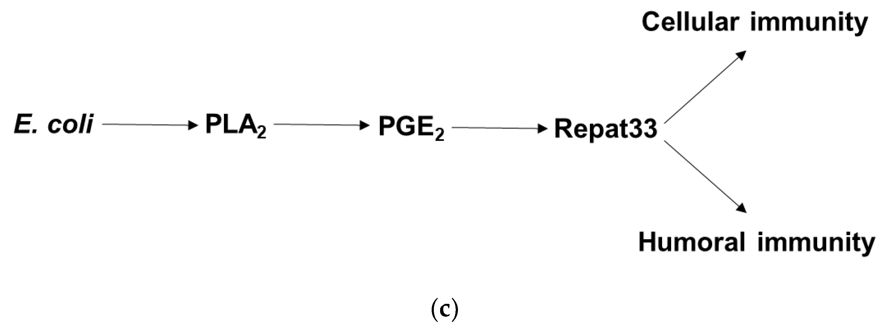 Insects 12 00449 g006b Insects 12 00449 g006b