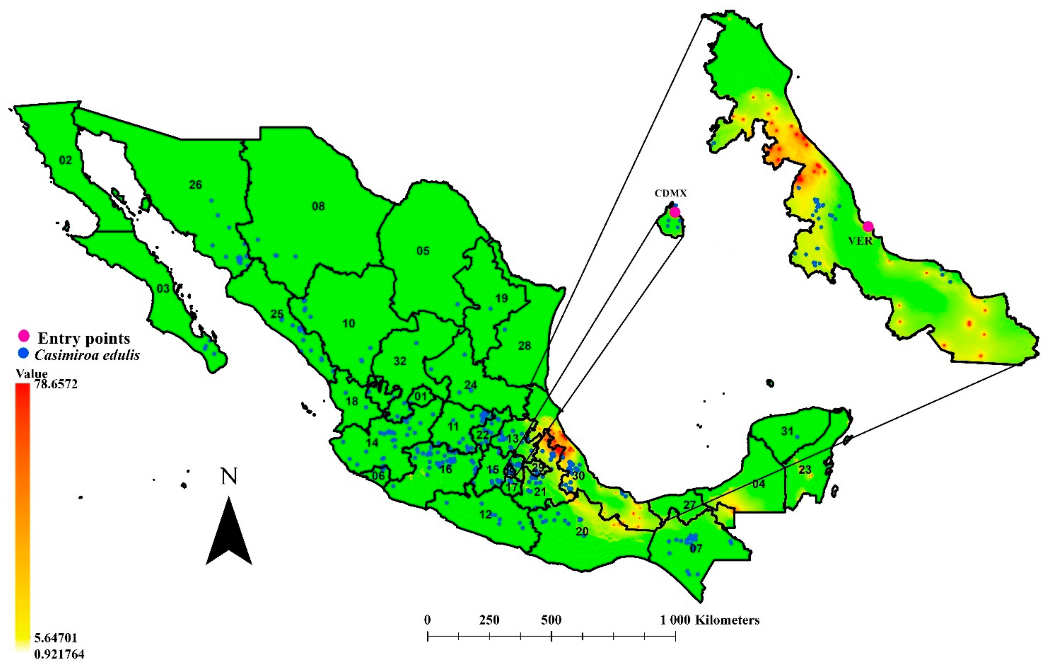 Insects 12 00450 g004
