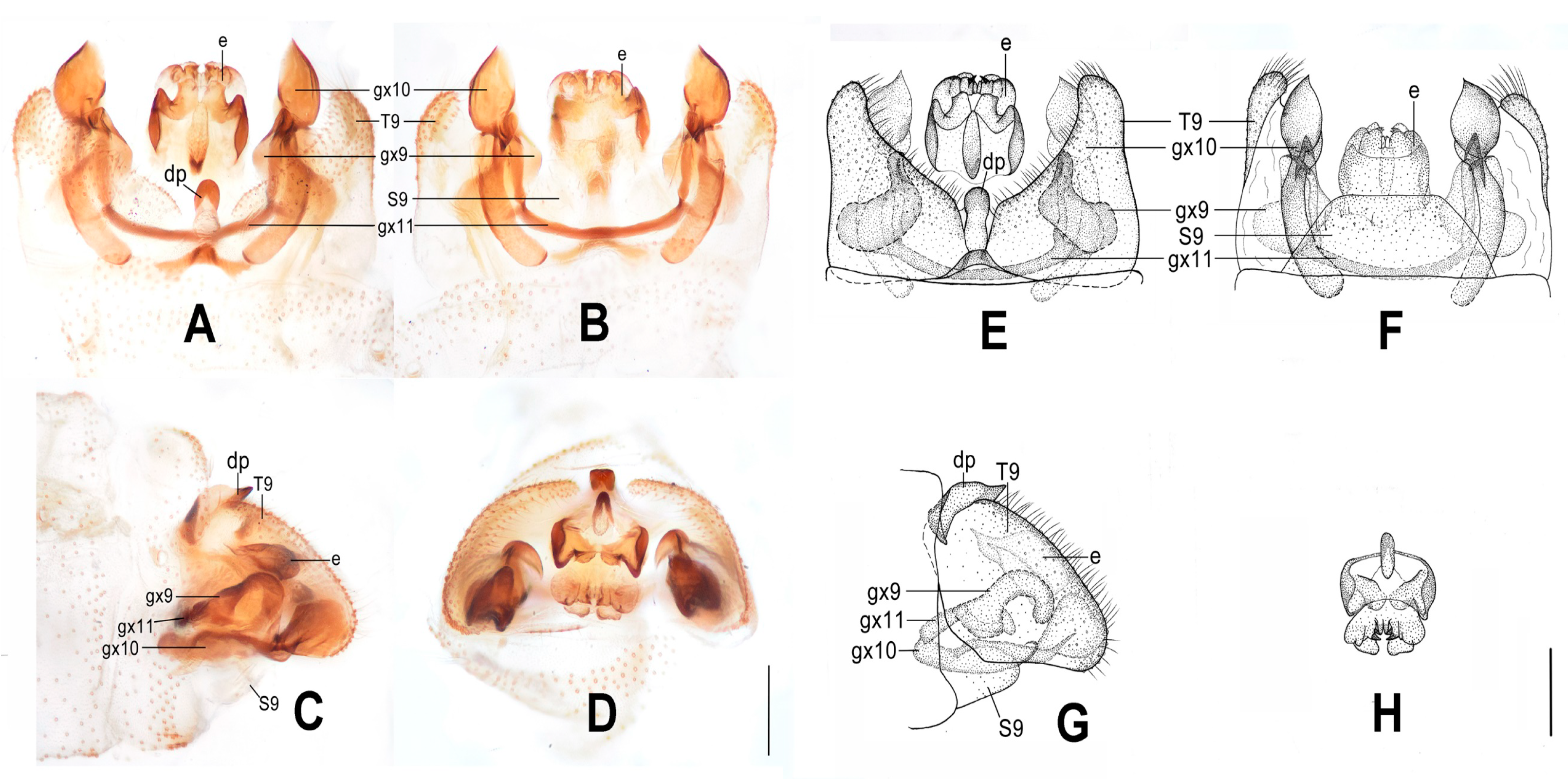 Insects 12 00451 g006