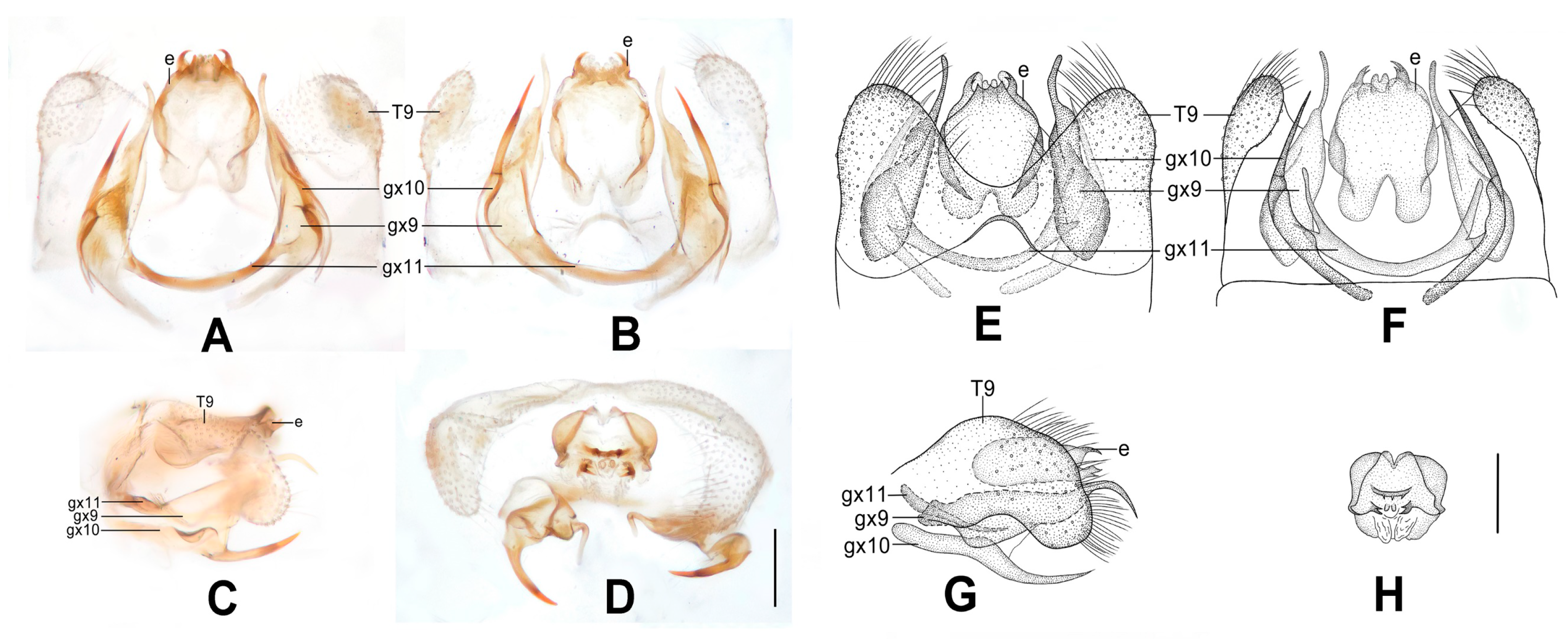Insects 12 00451 g008