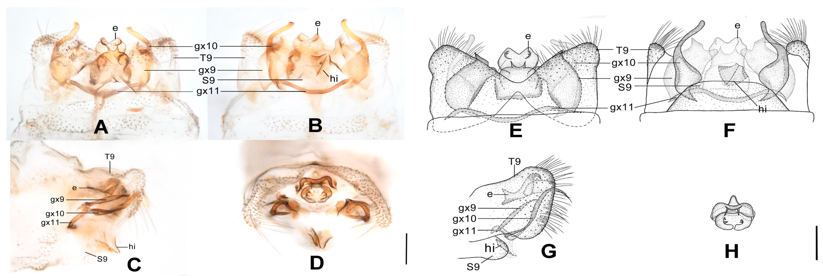 Insects 12 00451 g010