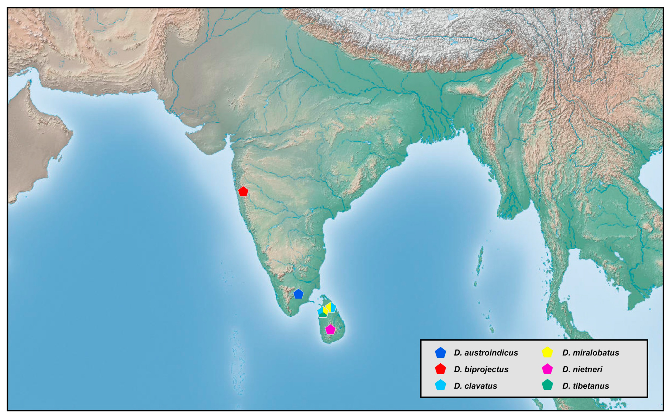 Insects 12 00451 g022