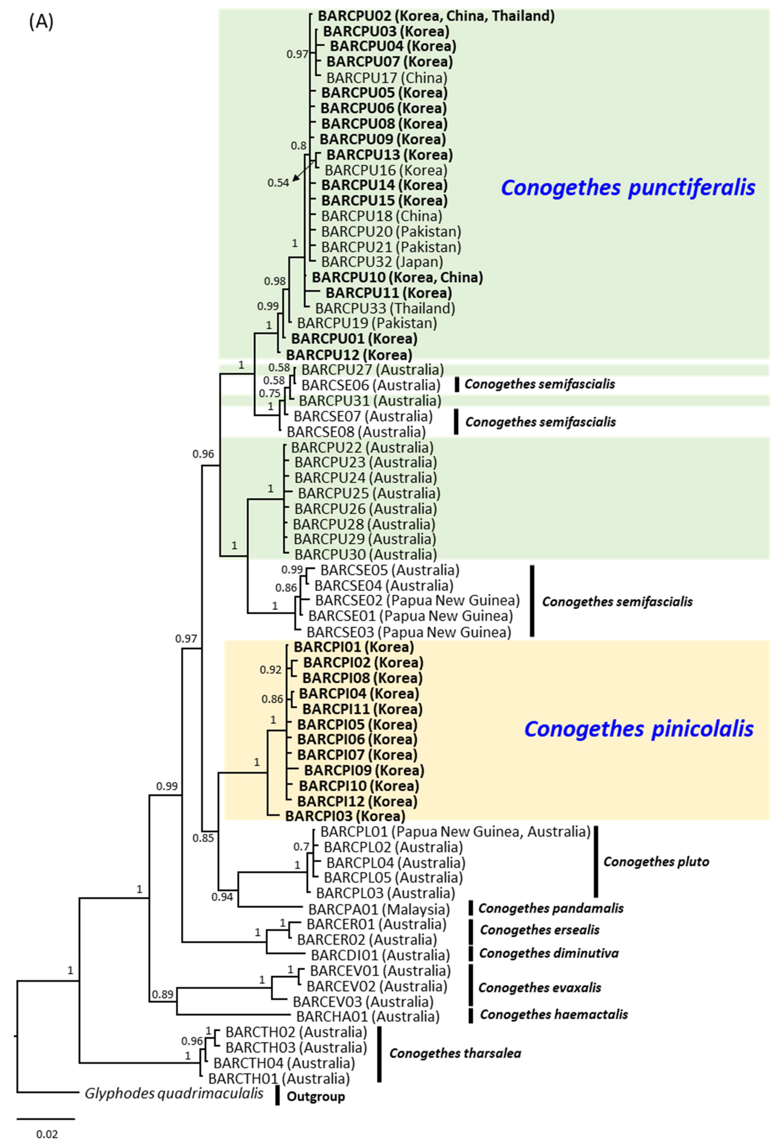 Insects 12 00455 g006a Insects 12 00455 g006a