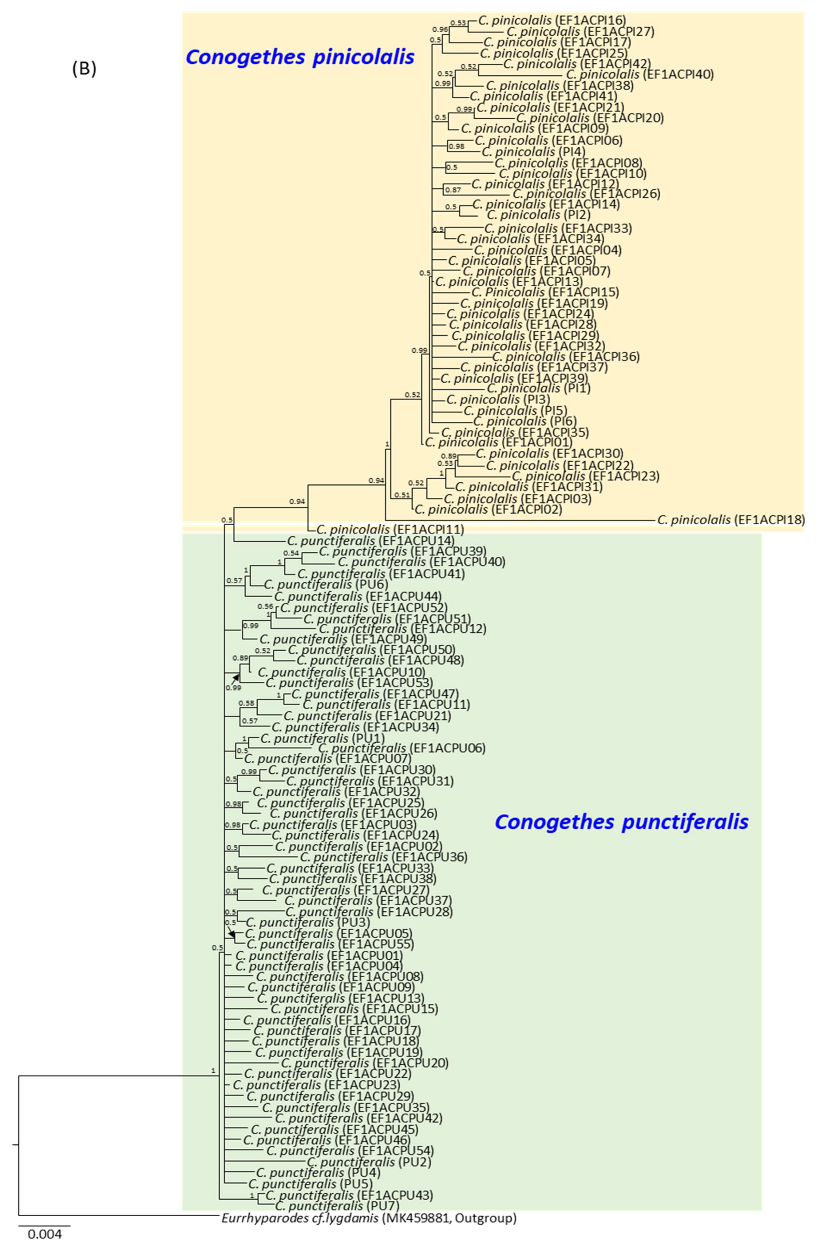 Insects 12 00455 g006b Insects 12 00455 g006b