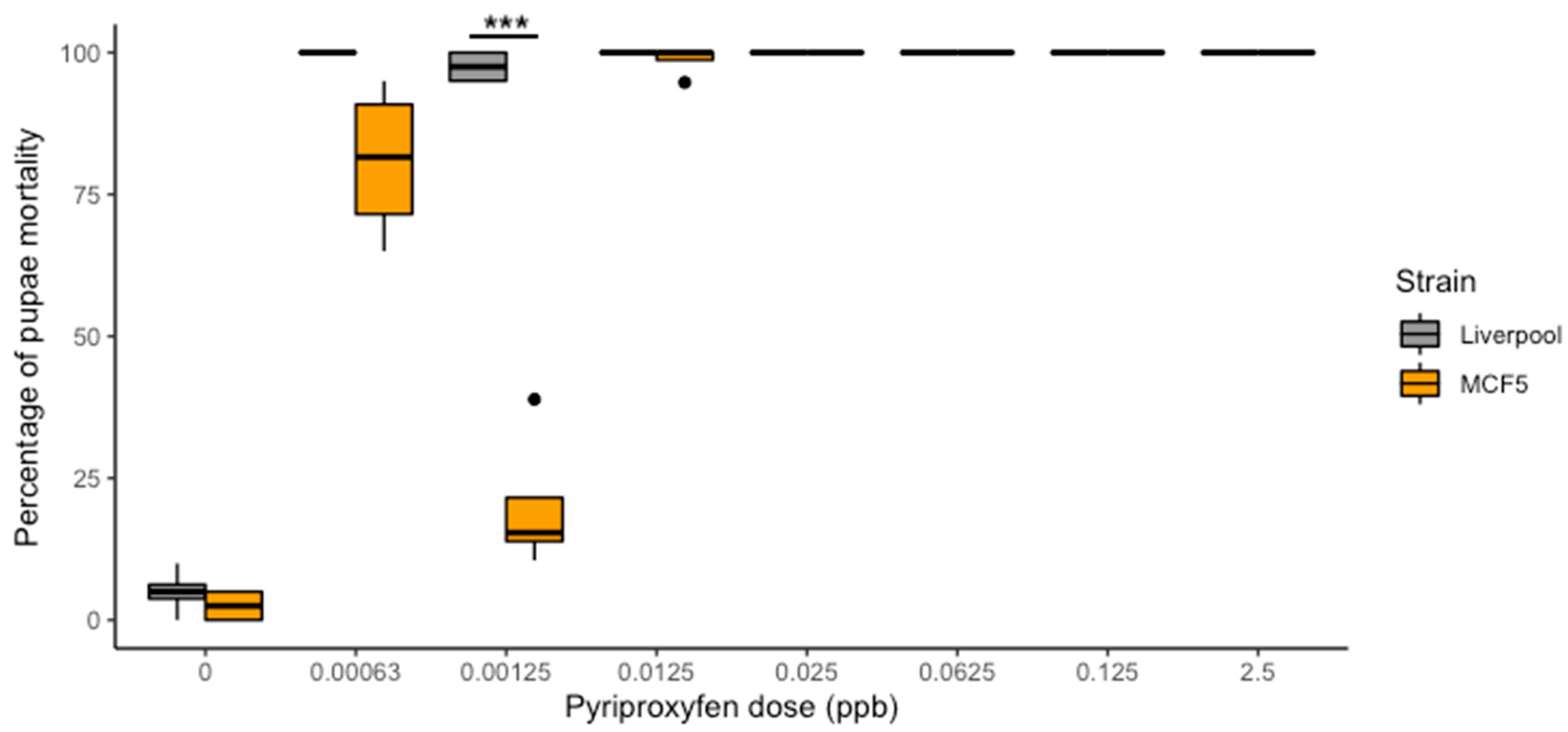 Insects 12 00460 g001