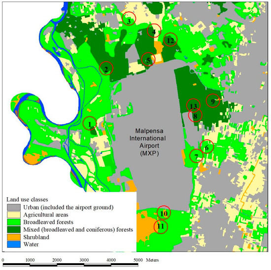 Monitoring Exotic Beetles with Inexpensive Attractants: A Case Study