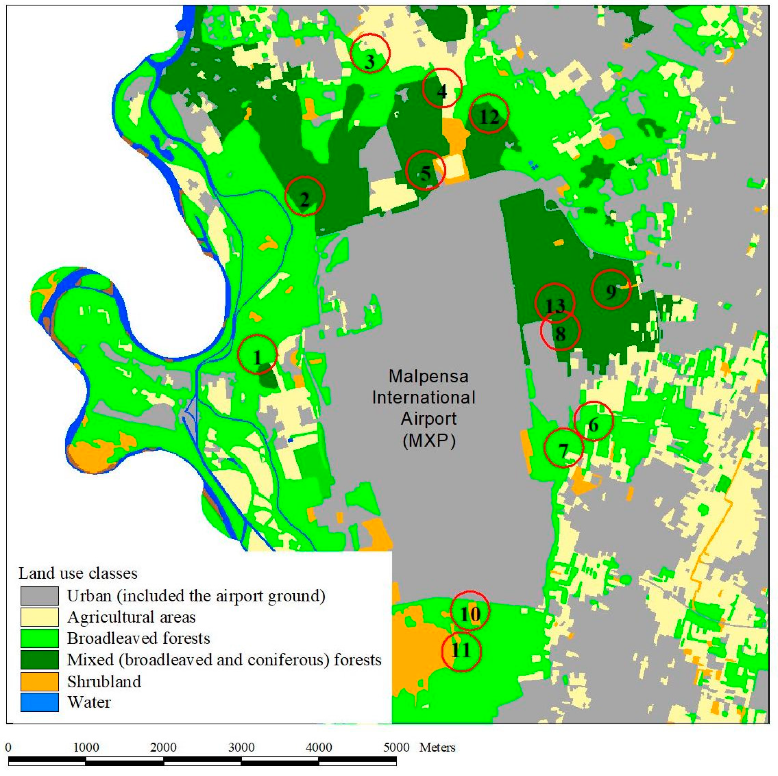 Insects 12 00462 g001