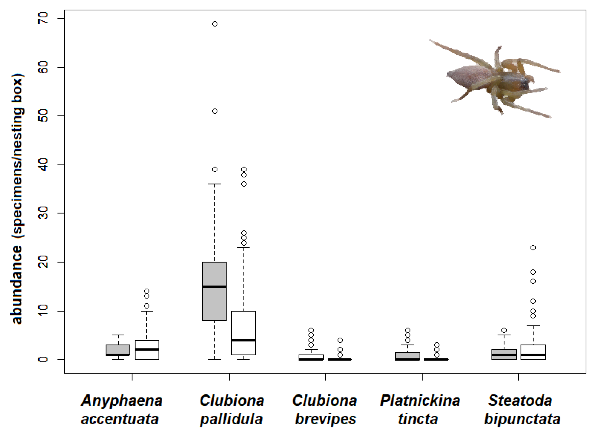 Insects 12 00465 g005 Insects 12 00465 g005