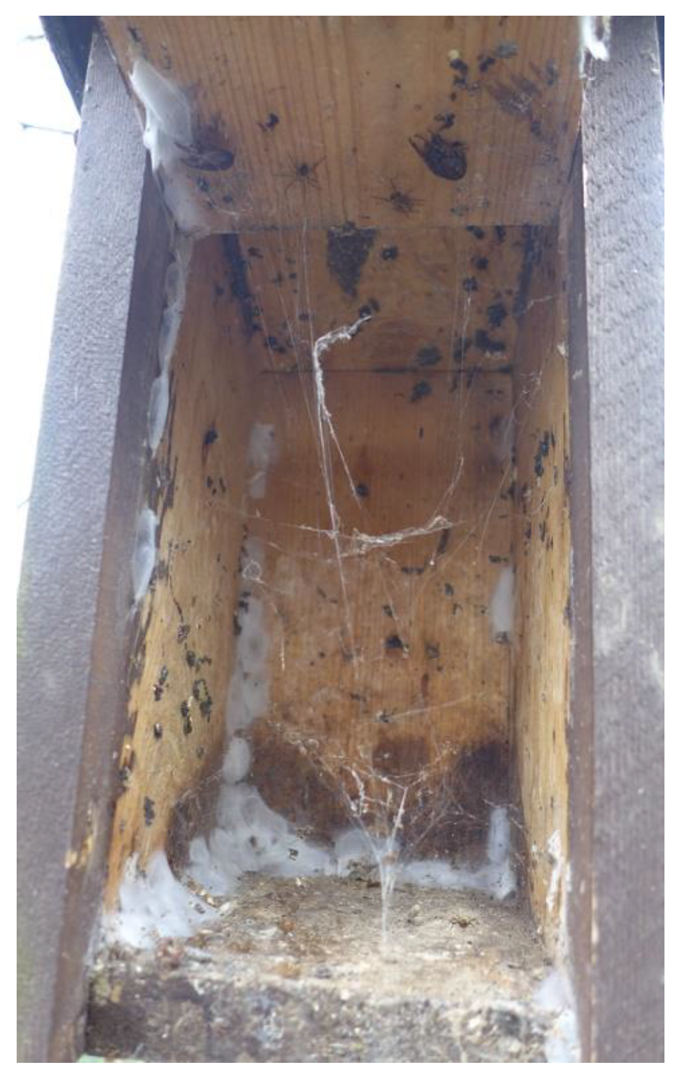 Insects 12 00465 g0a1 Insects 12 00465 g0a1