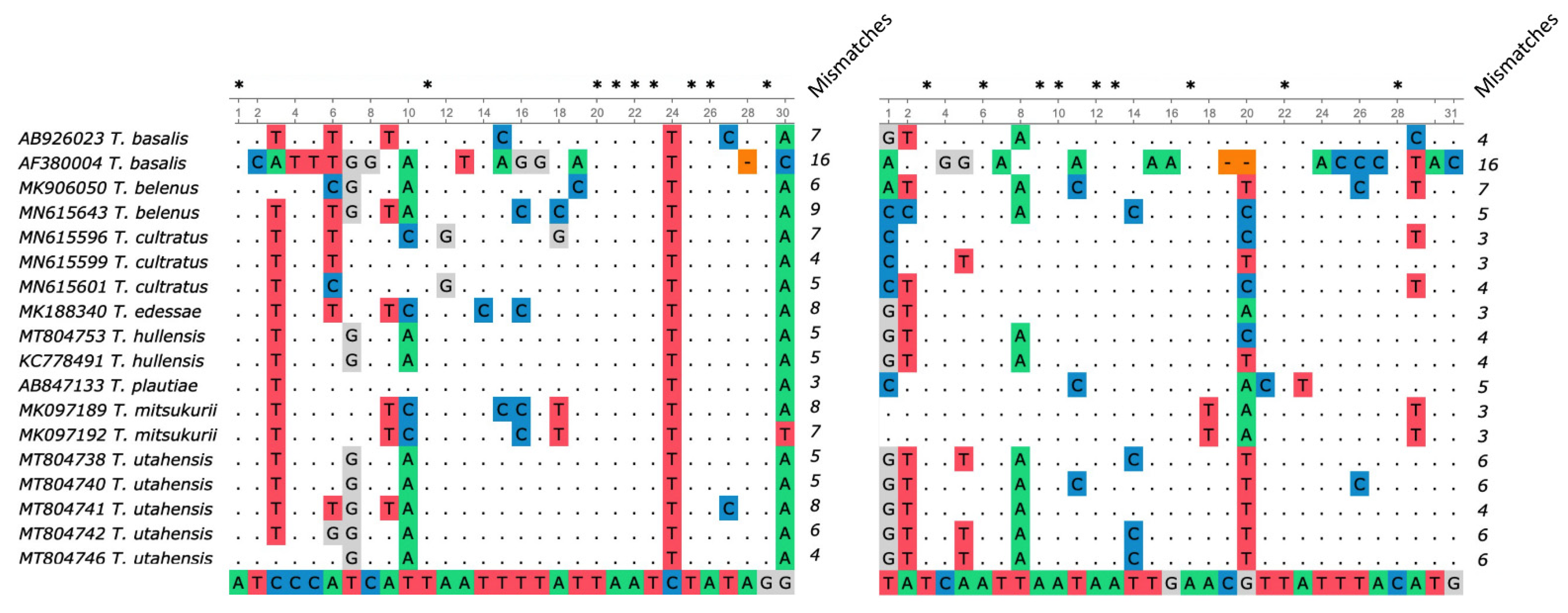 Insects 12 00467 g002 Insects 12 00467 g002