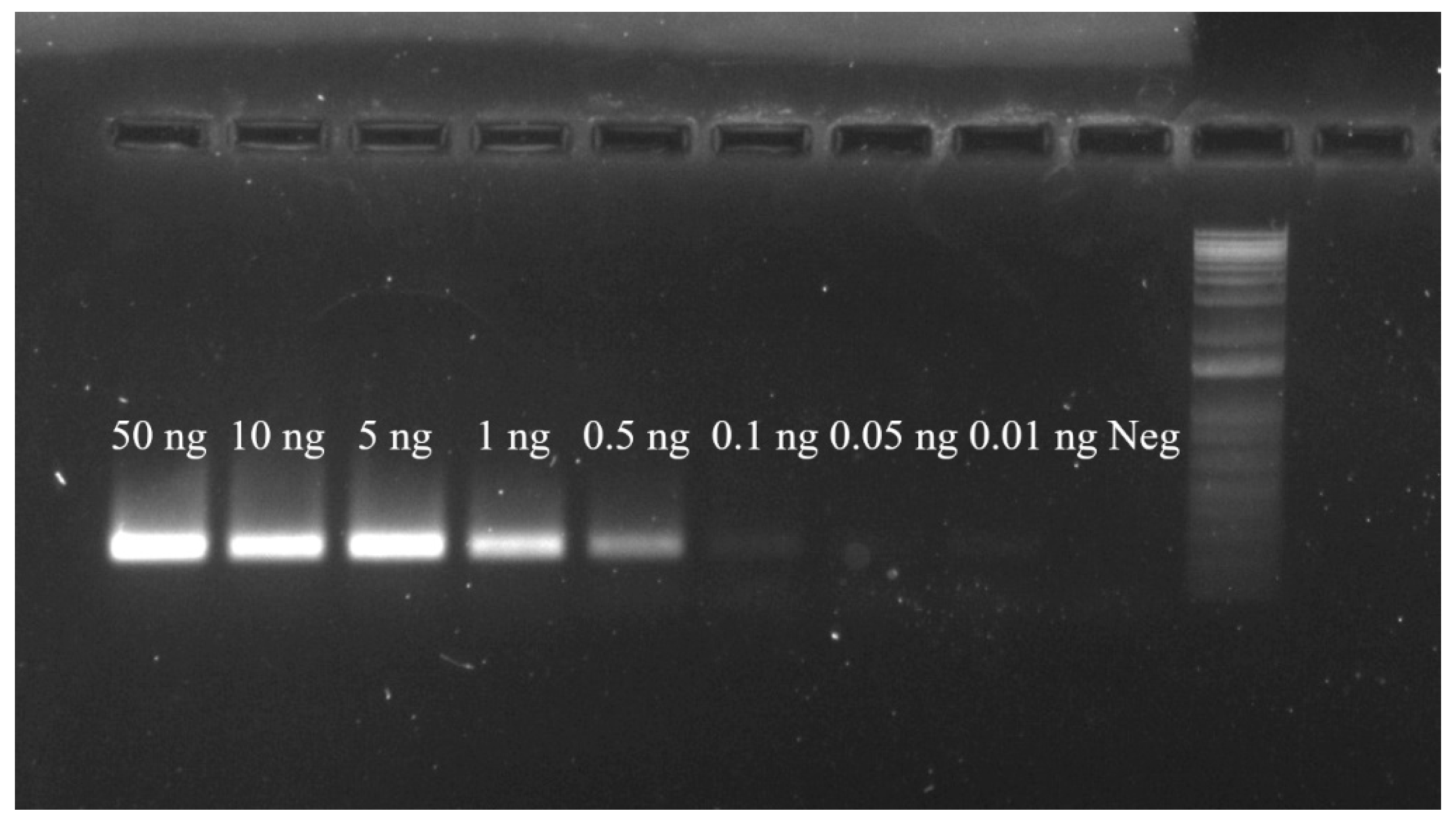 Insects 12 00467 g003 Insects 12 00467 g003