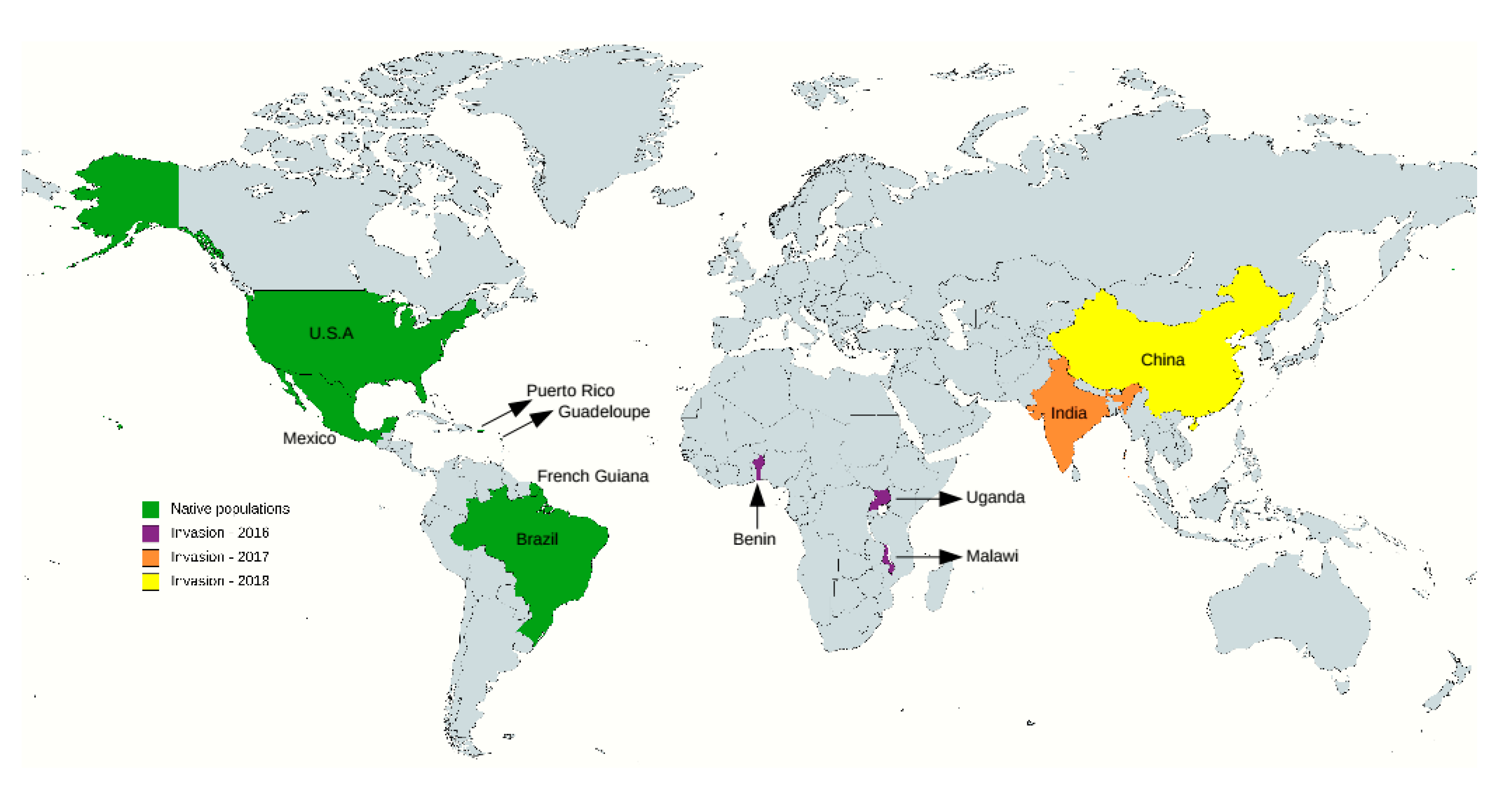Insects 12 00468 g001 Insects 12 00468 g001