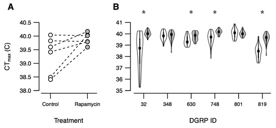 Insects | Free Full-Text Genotype and Specific Responses to Rapamycin Intake in Drosophila melanogaster |