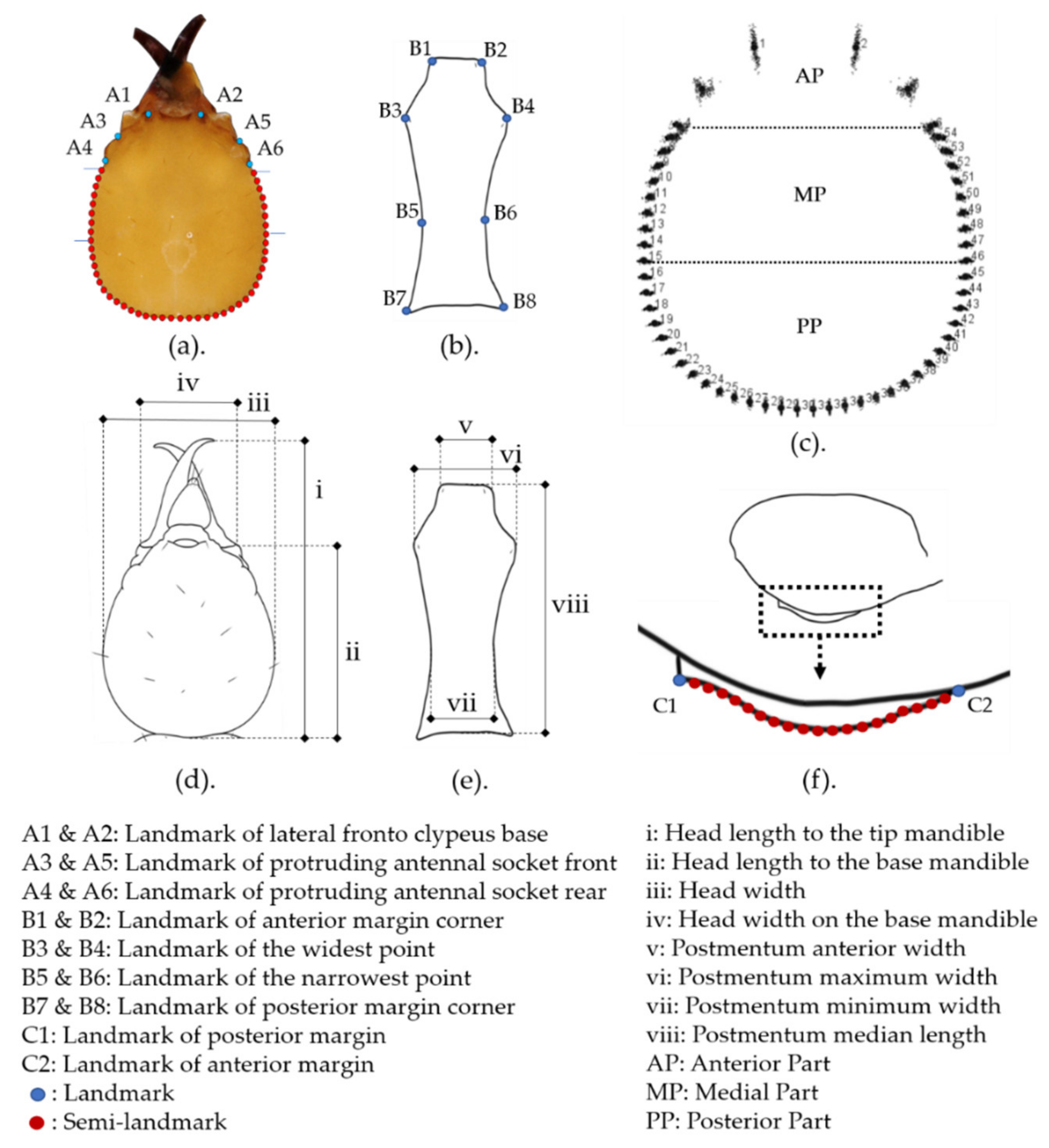 Insects 12 00477 g001 Insects 12 00477 g001