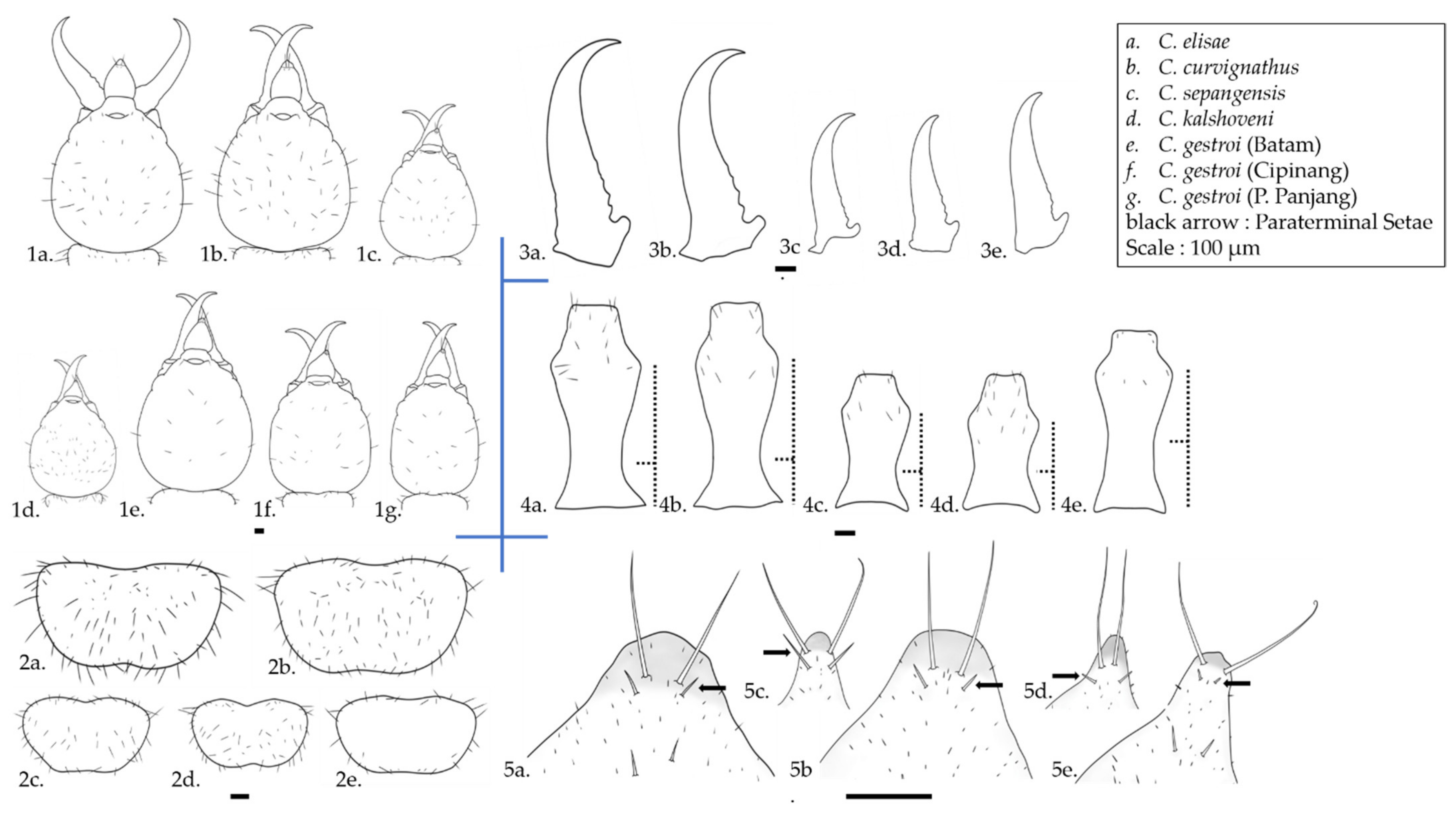 Insects 12 00477 g003 Insects 12 00477 g003