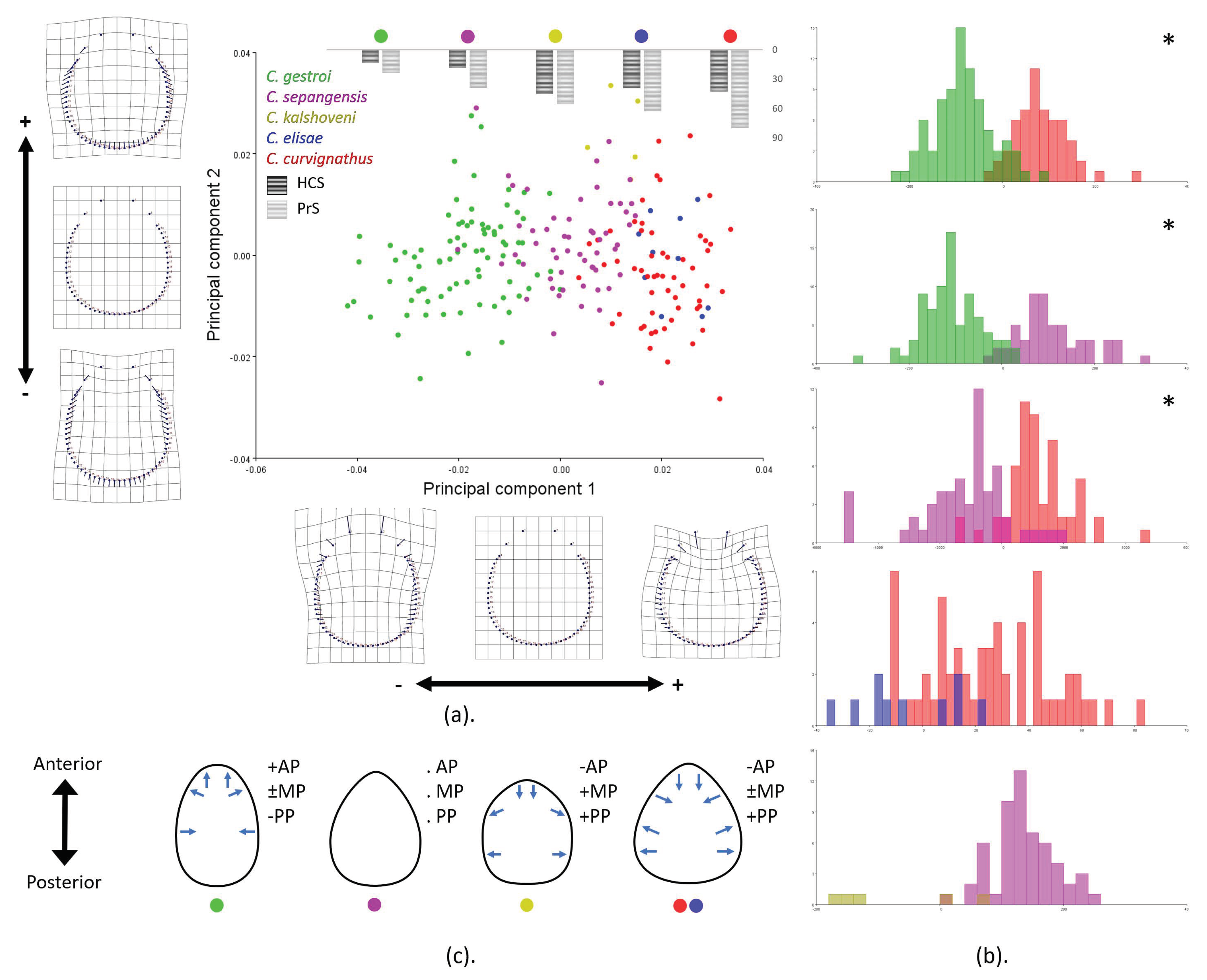 Insects 12 00477 g006 Insects 12 00477 g006
