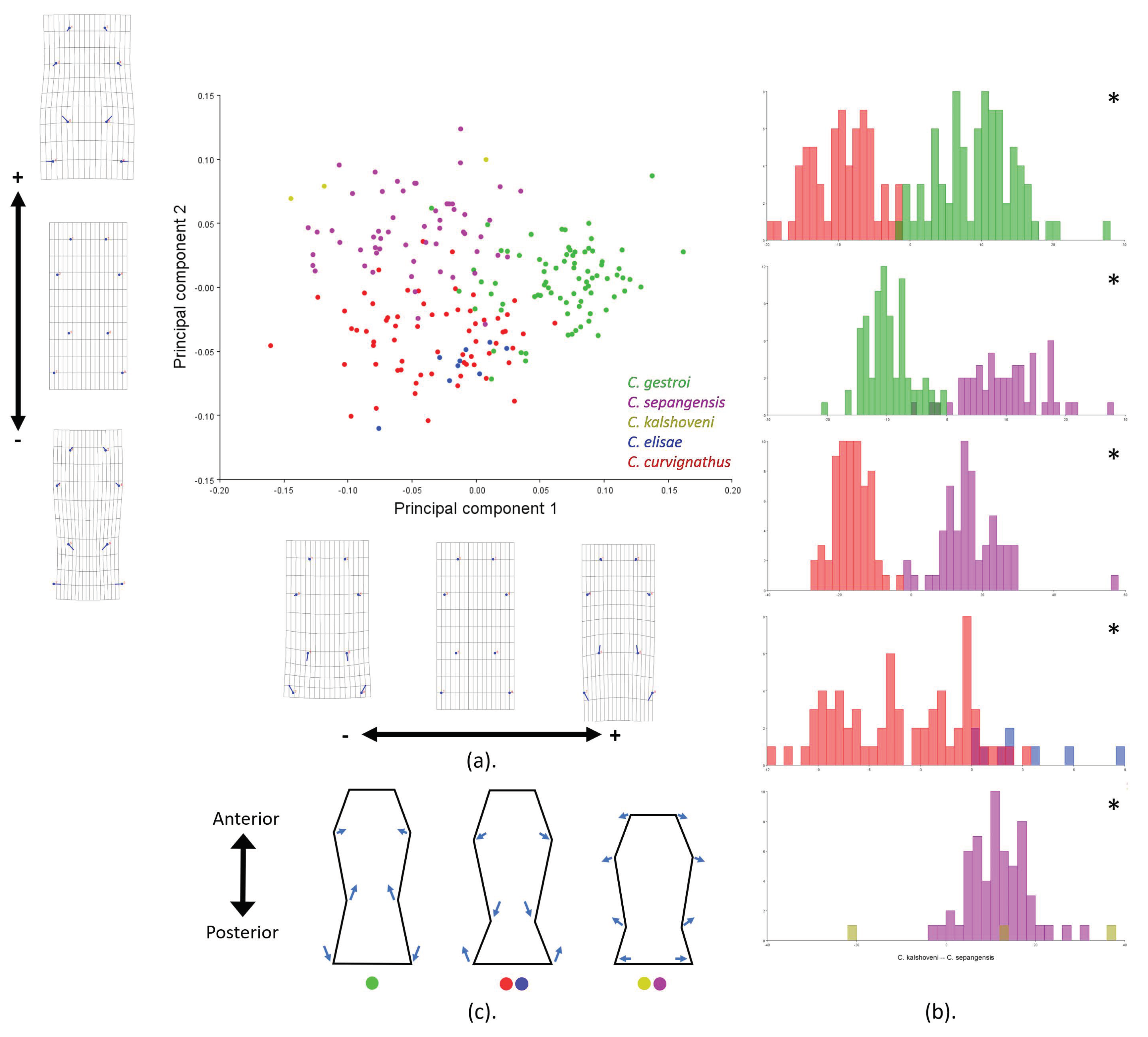 Insects 12 00477 g007 Insects 12 00477 g007