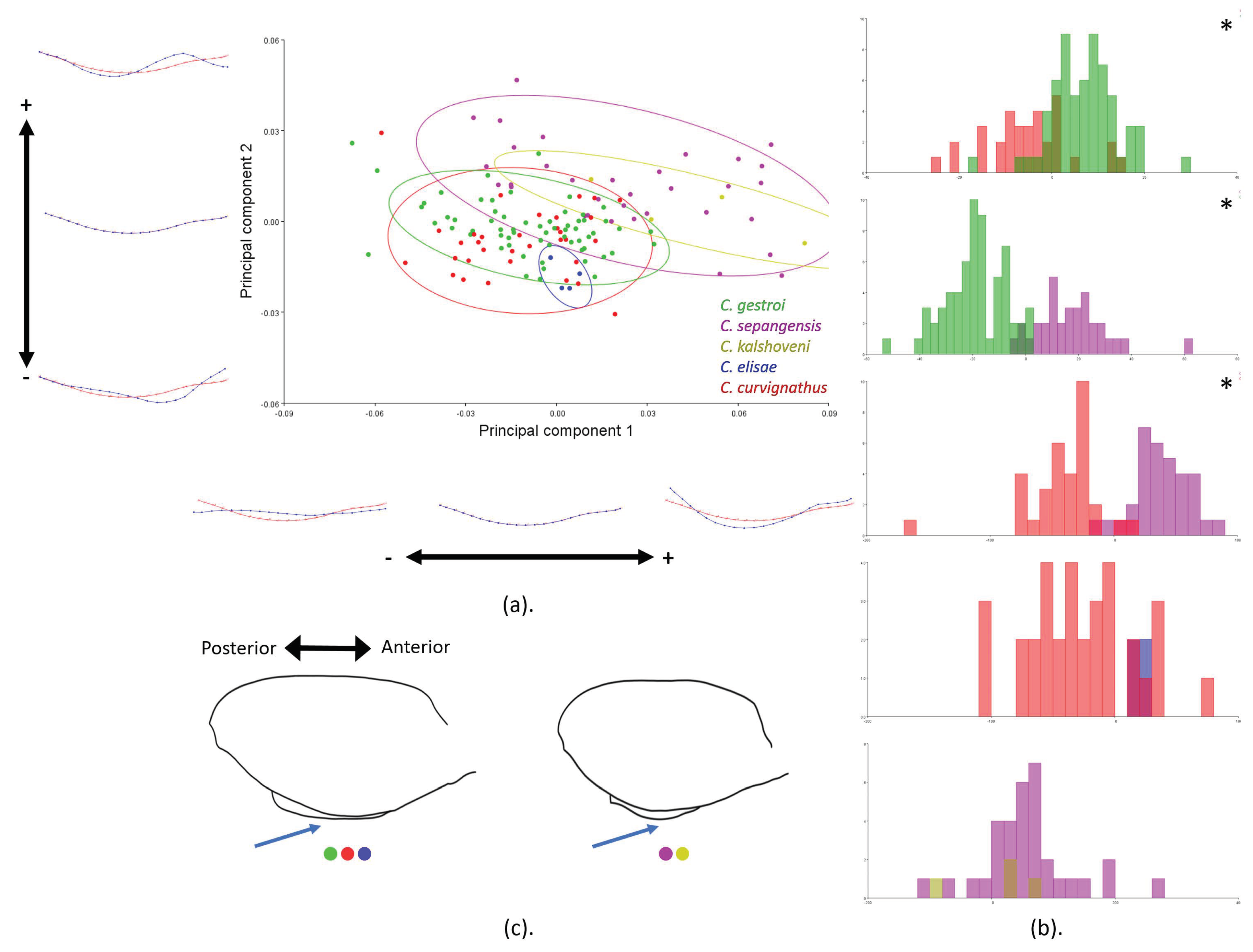 Insects 12 00477 g008 Insects 12 00477 g008