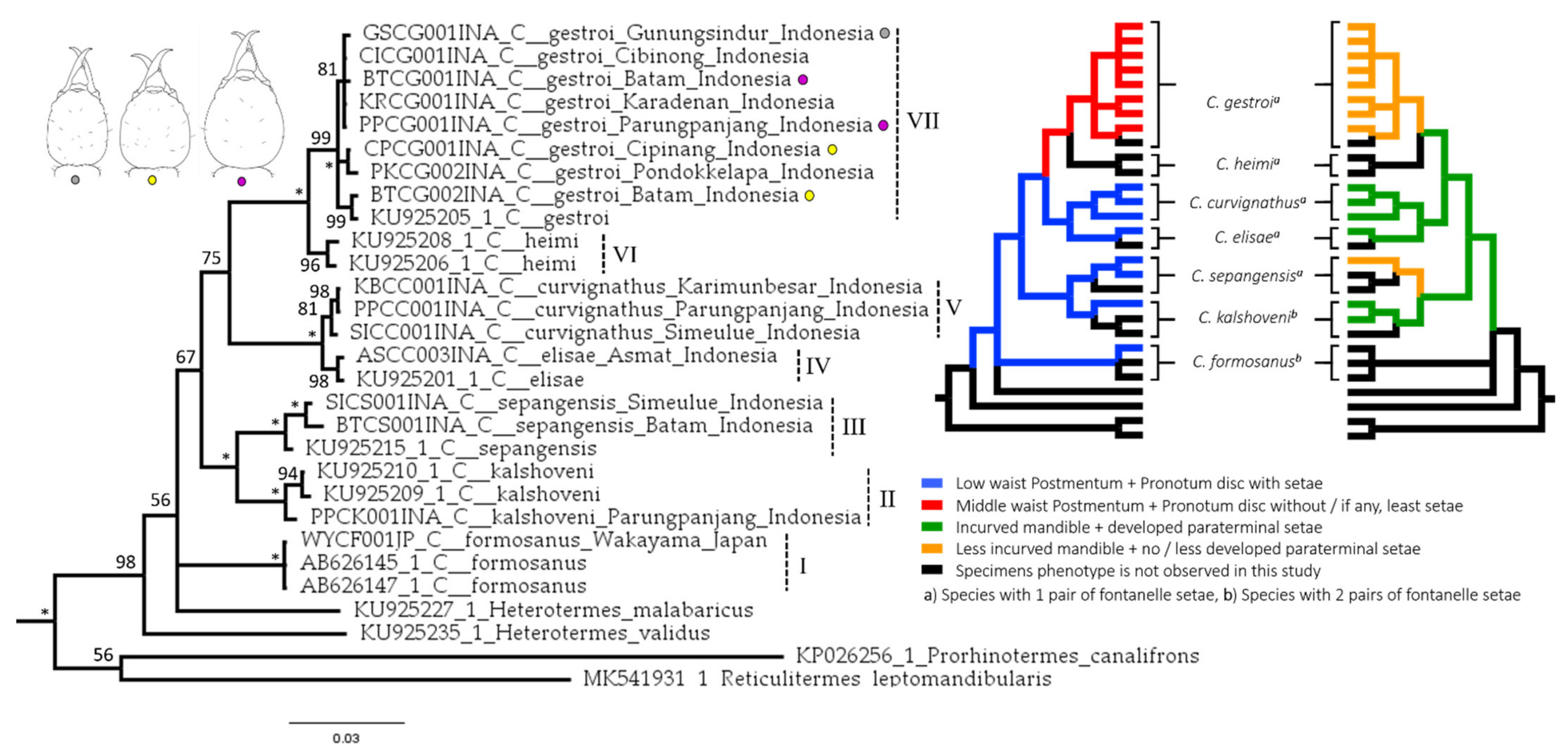 Insects 12 00477 g010 Insects 12 00477 g010