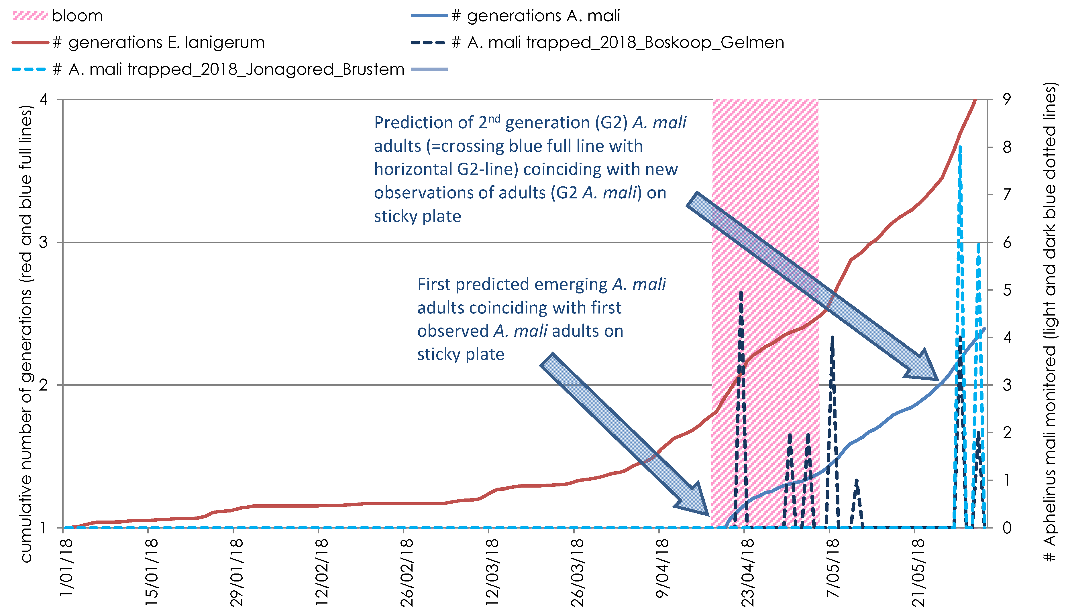 Insects 12 00479 g001