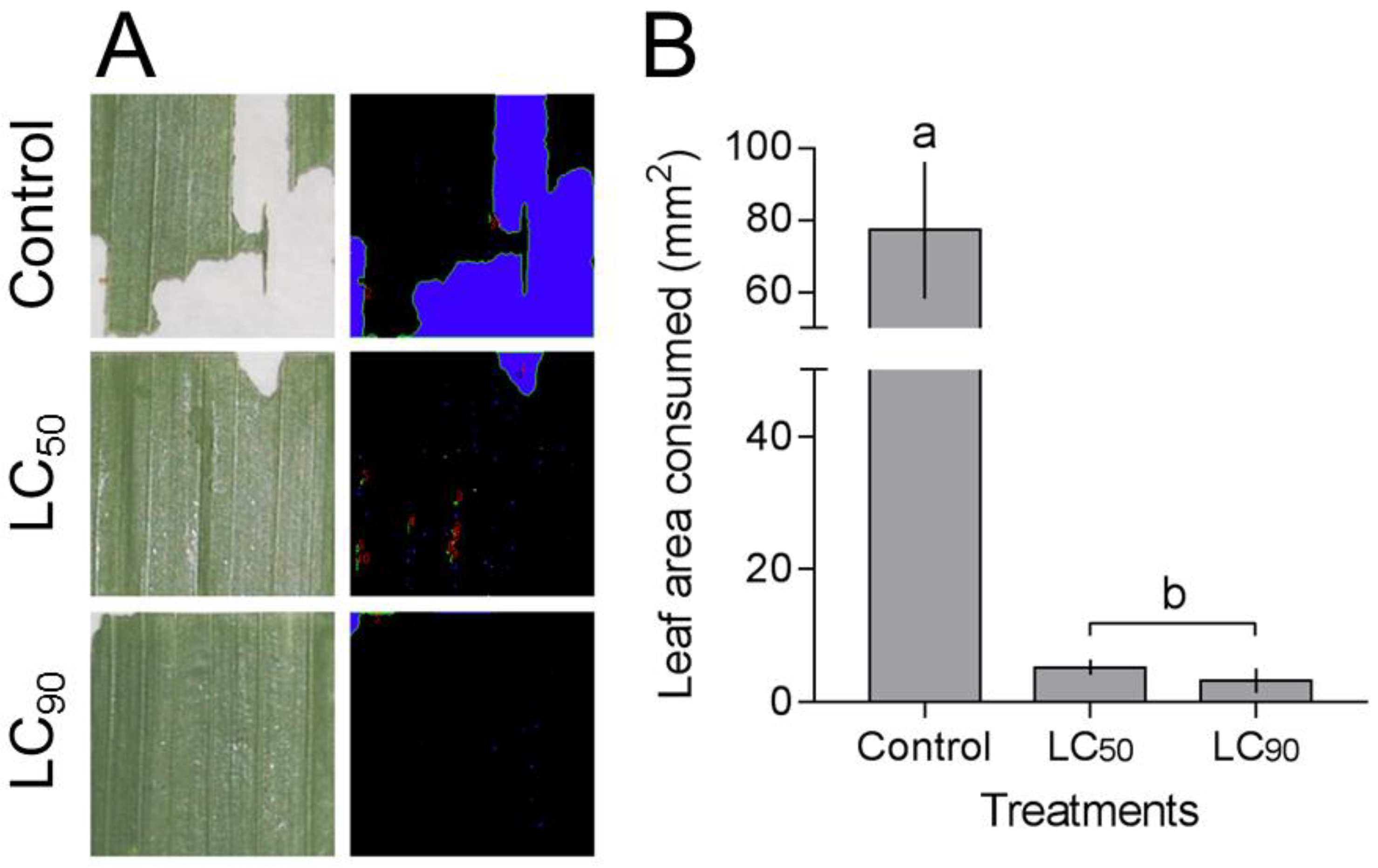Insects 12 00483 g004 Insects 12 00483 g004