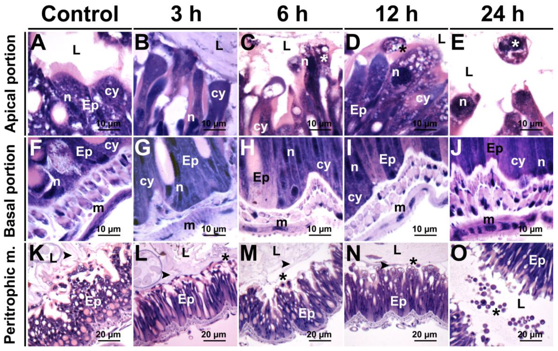 Insects 12 00483 g005 Insects 12 00483 g005