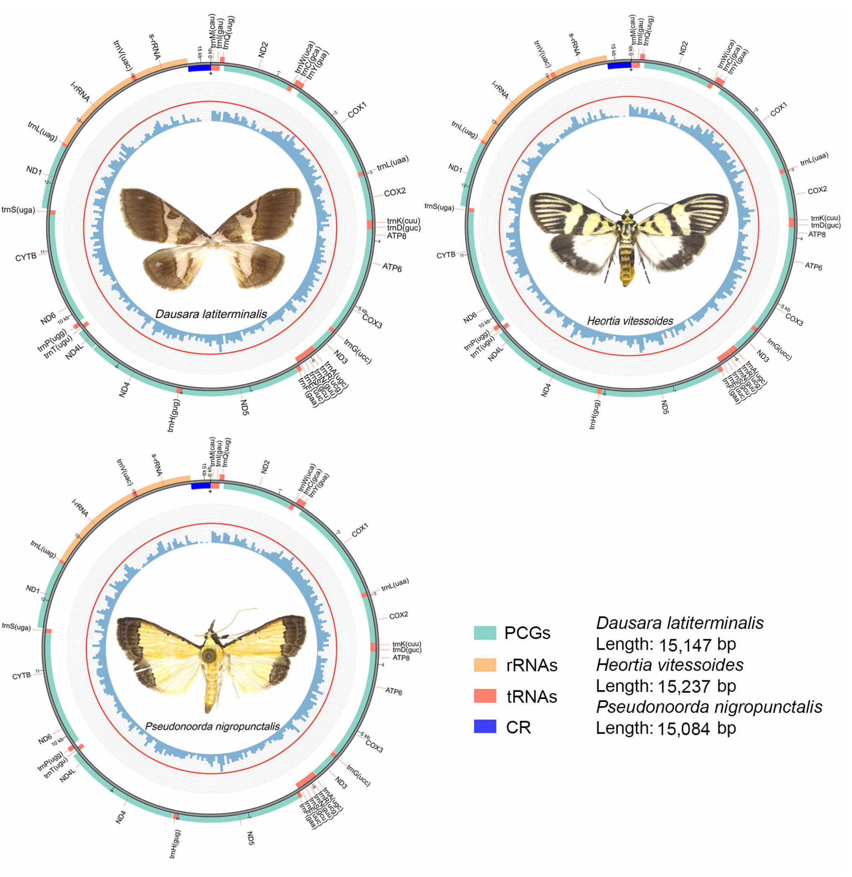Insects 12 00486 g001 Insects 12 00486 g001