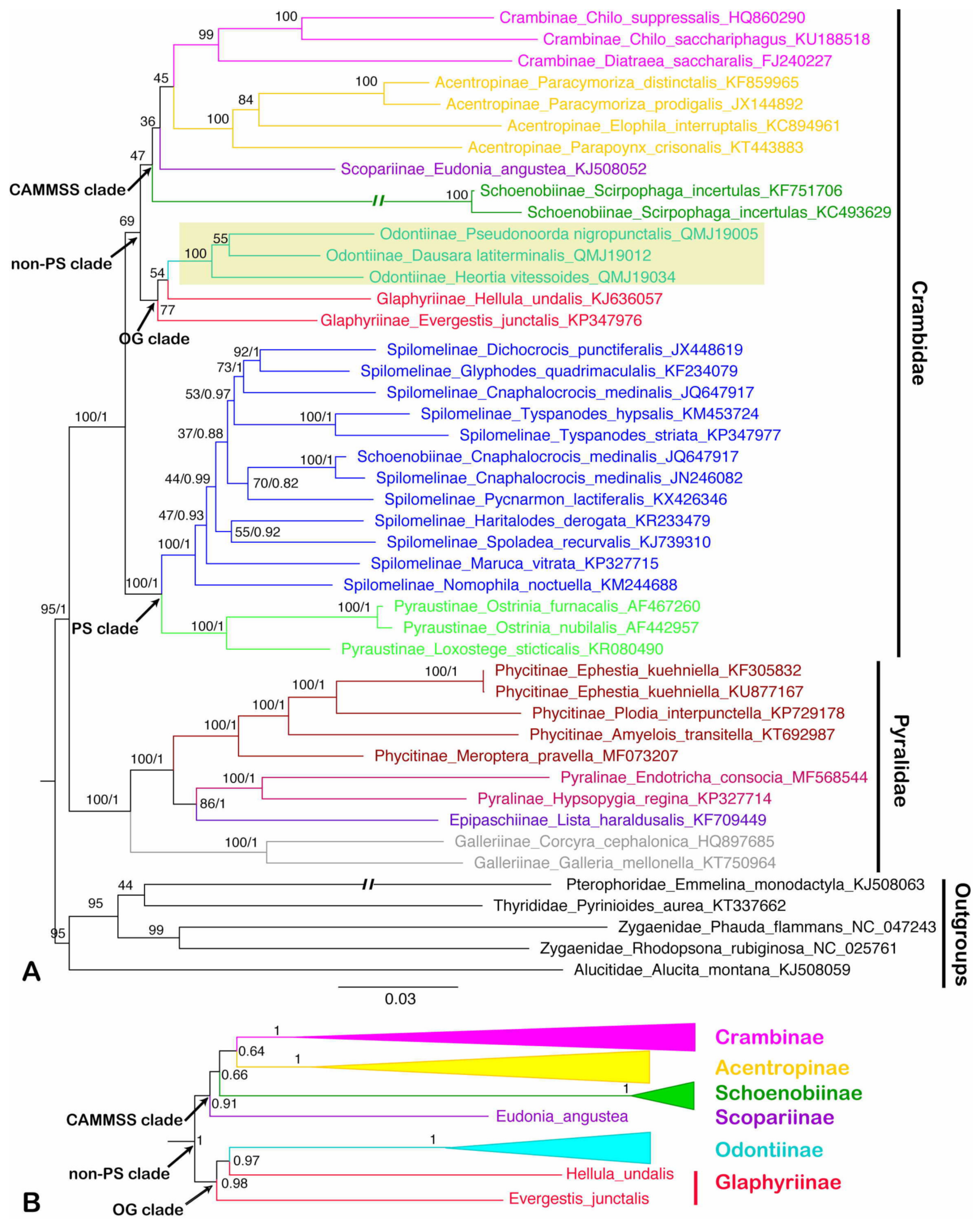 Insects 12 00486 g006 Insects 12 00486 g006